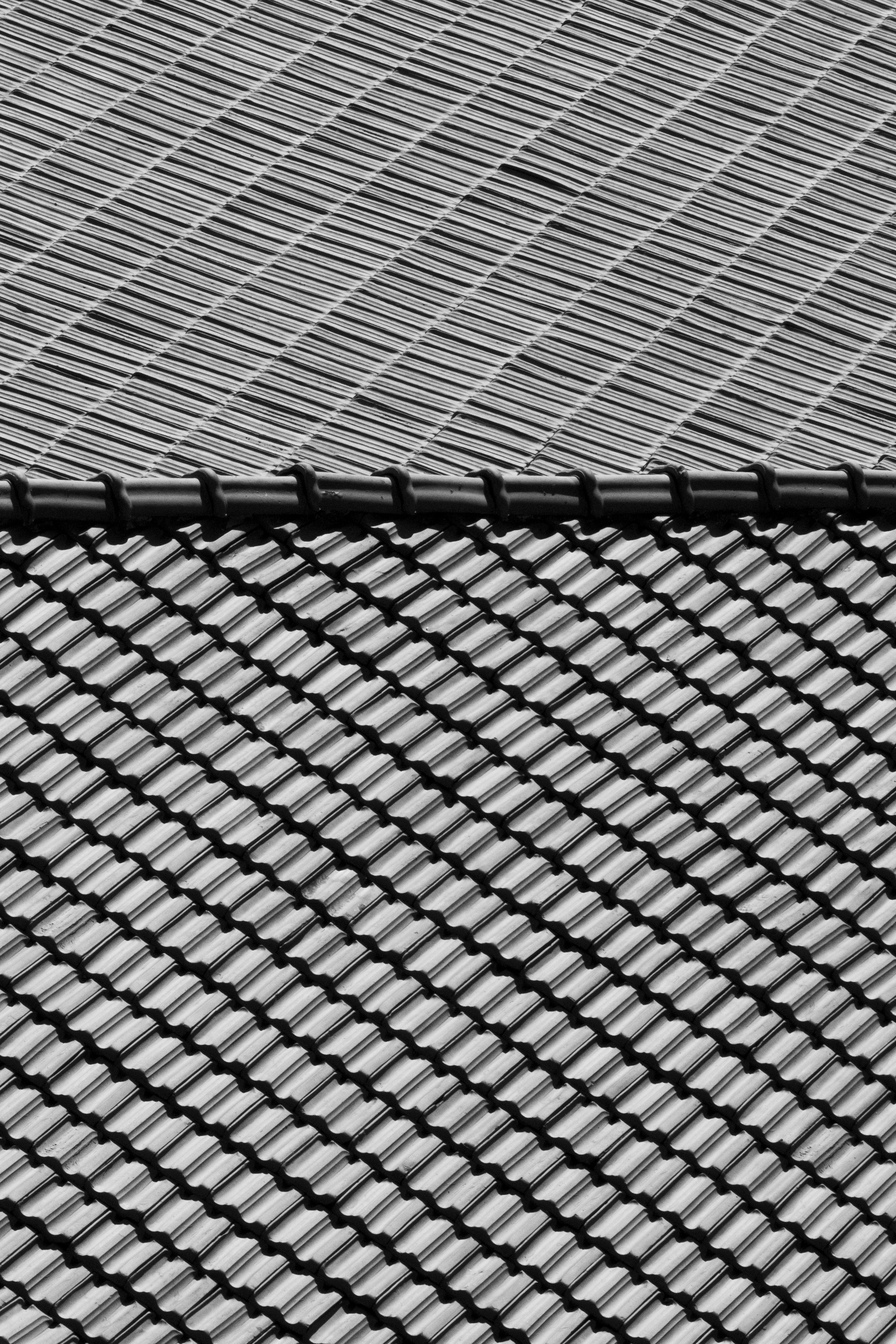 Photo by enginakyurt