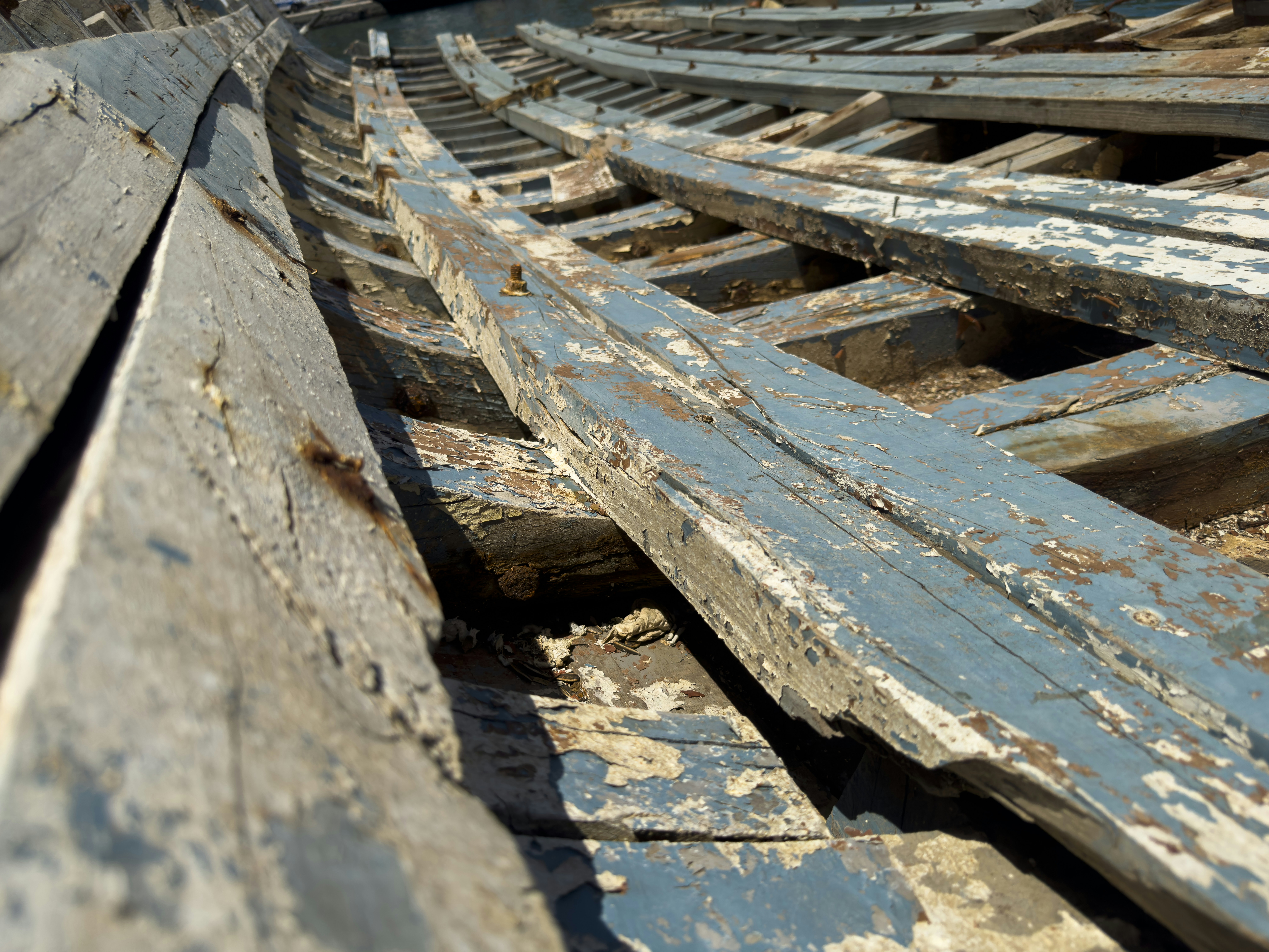 Photo by enginakyurt