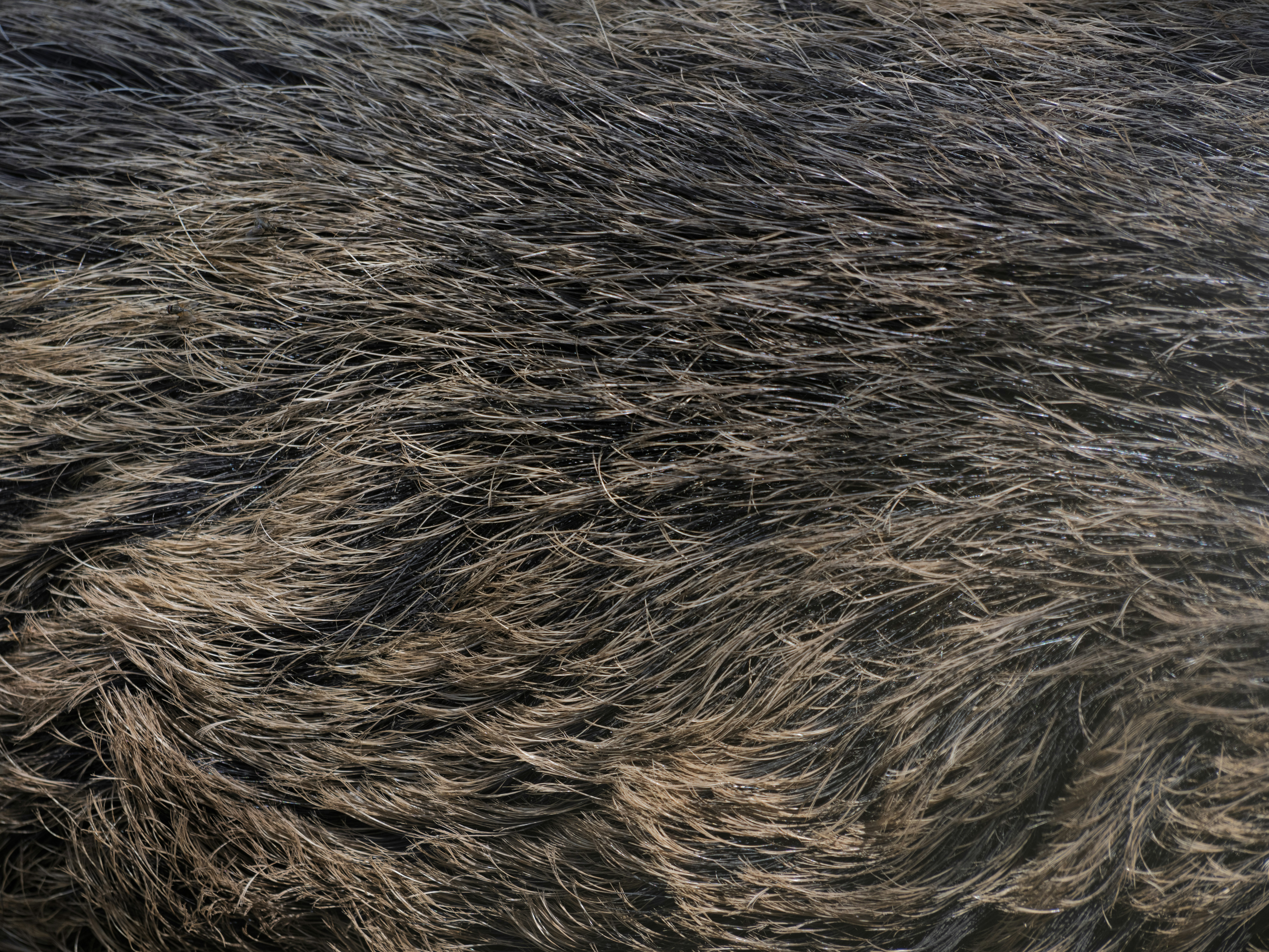 Photo by enginakyurt