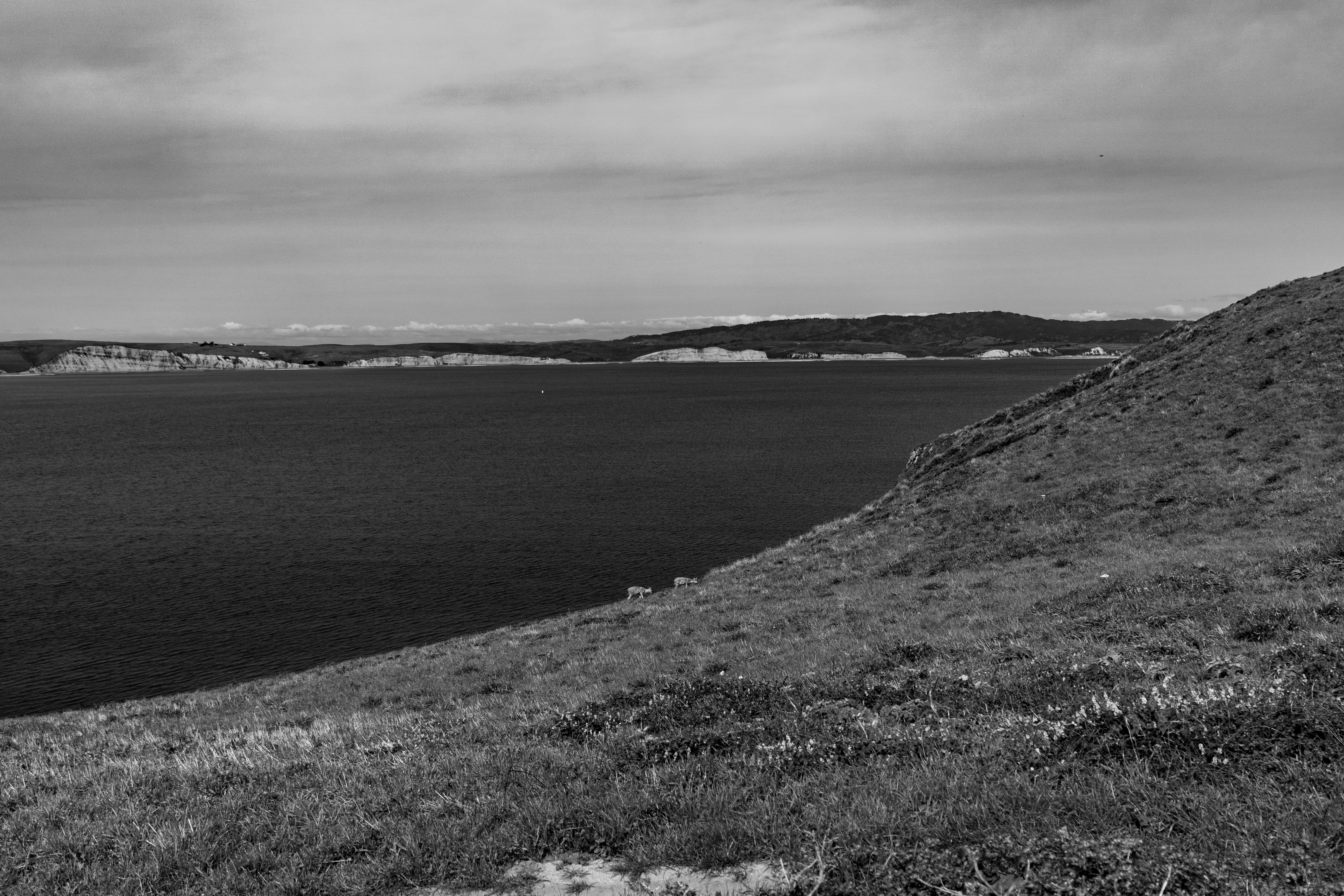 Photo by garrettsschmid