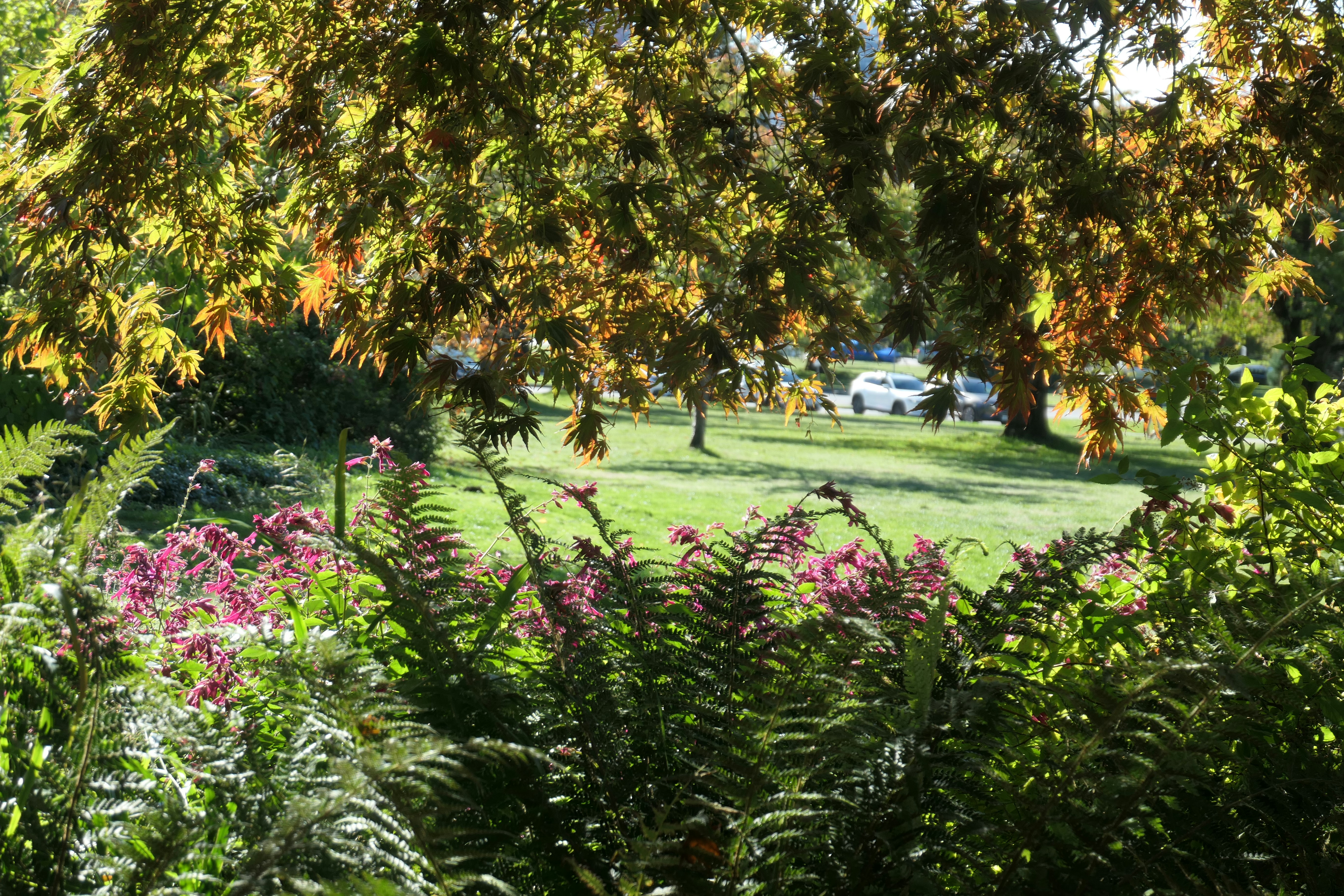 Photo by annabelcoope