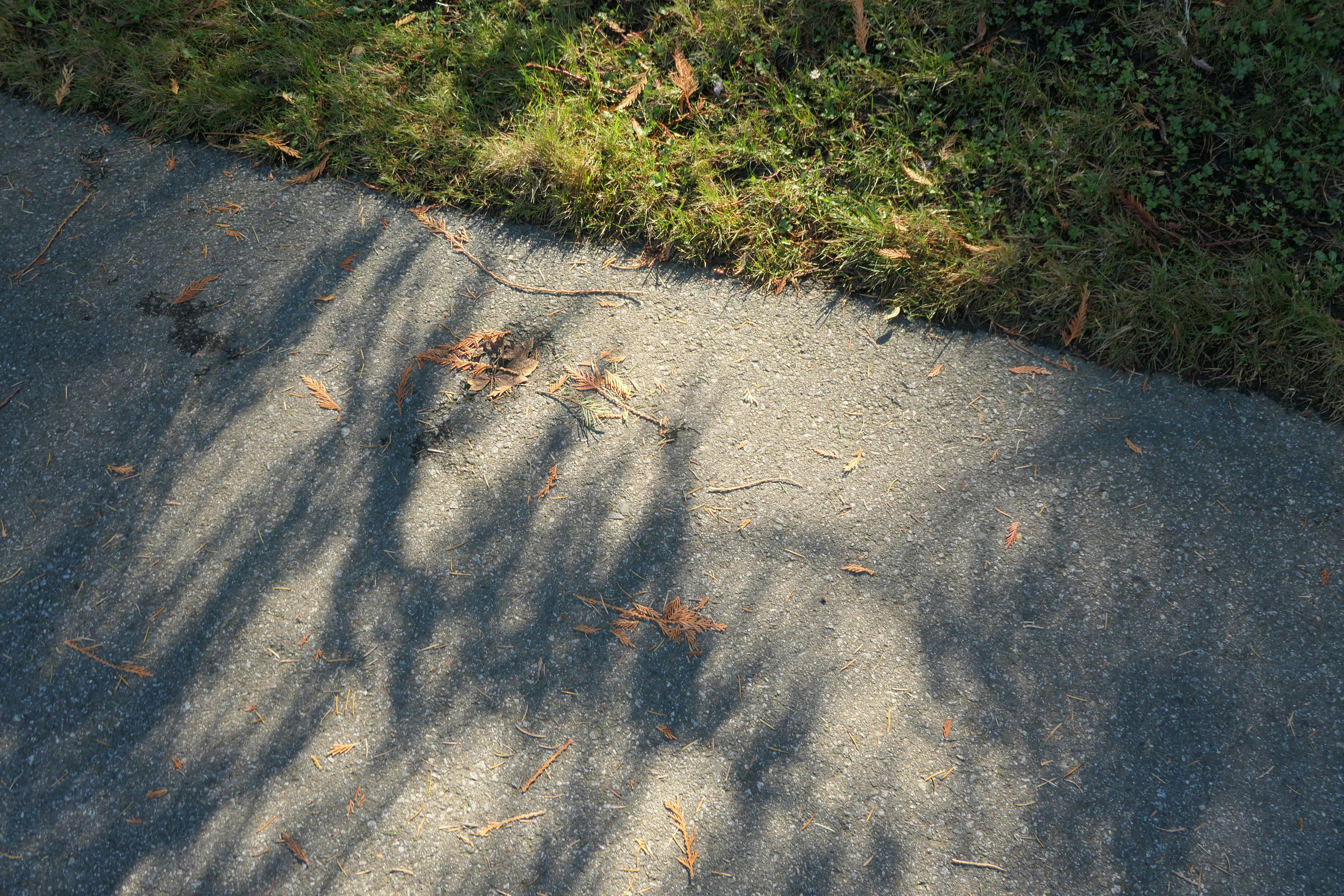 Photo by annabelcoope