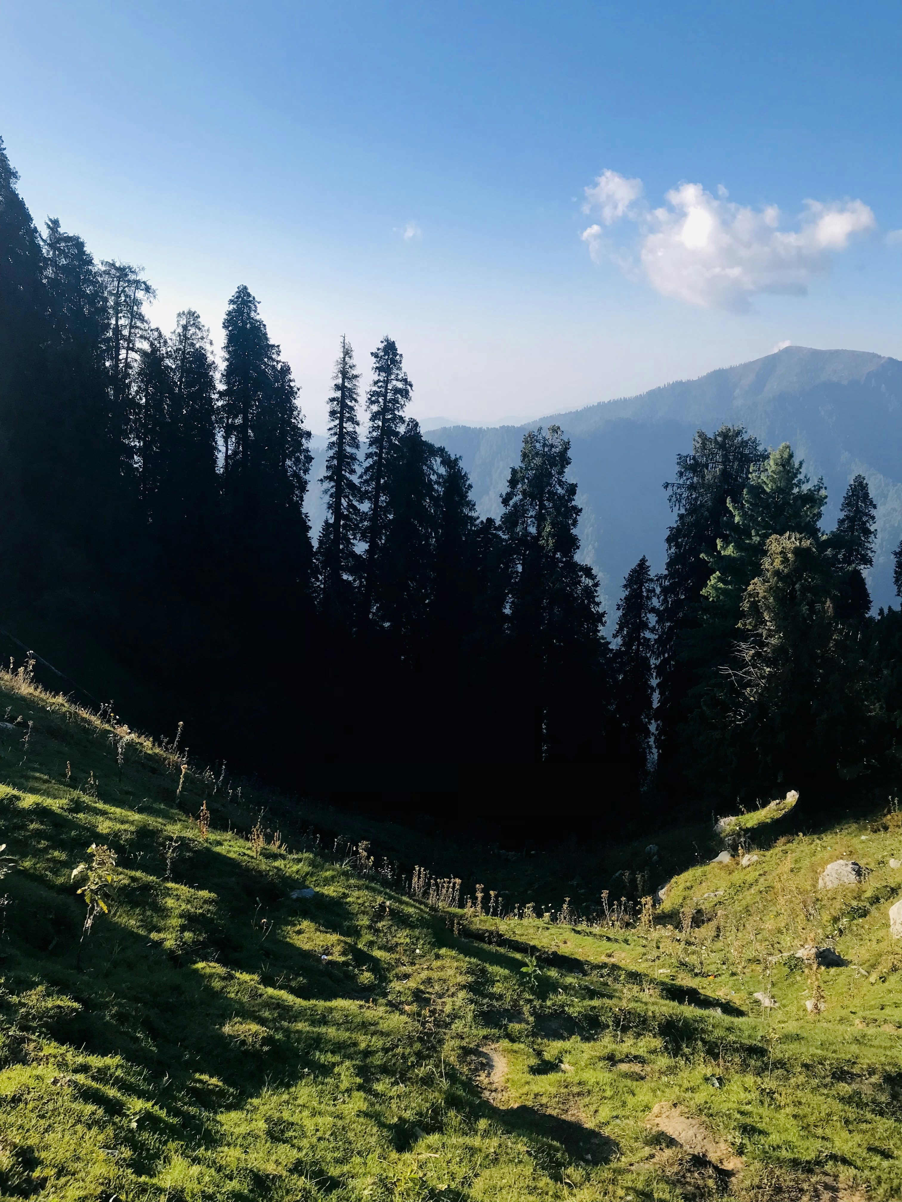 Photo by syedahamnaasif