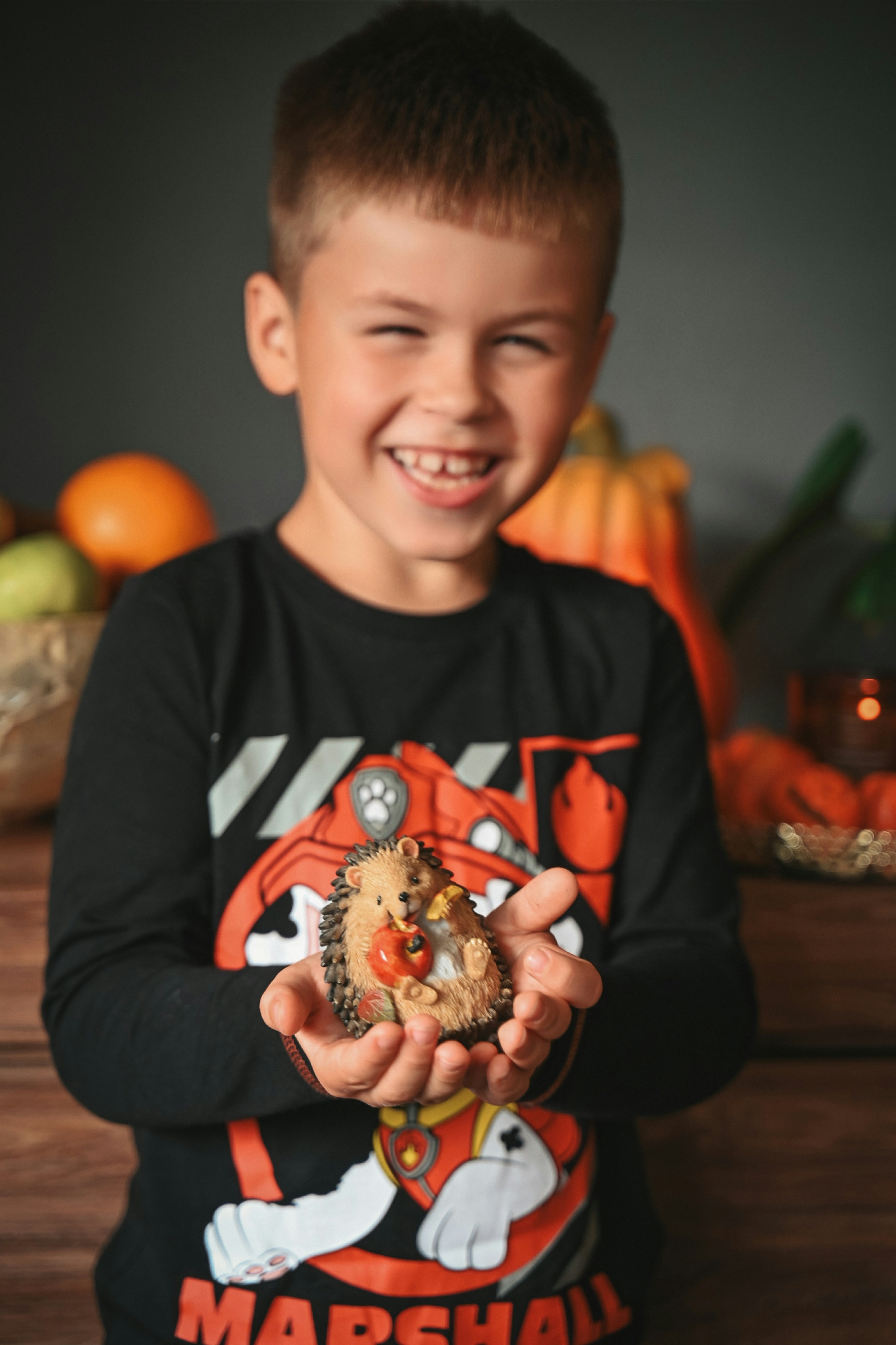 Niño sonriente sostiene una pequeña figura de erizo