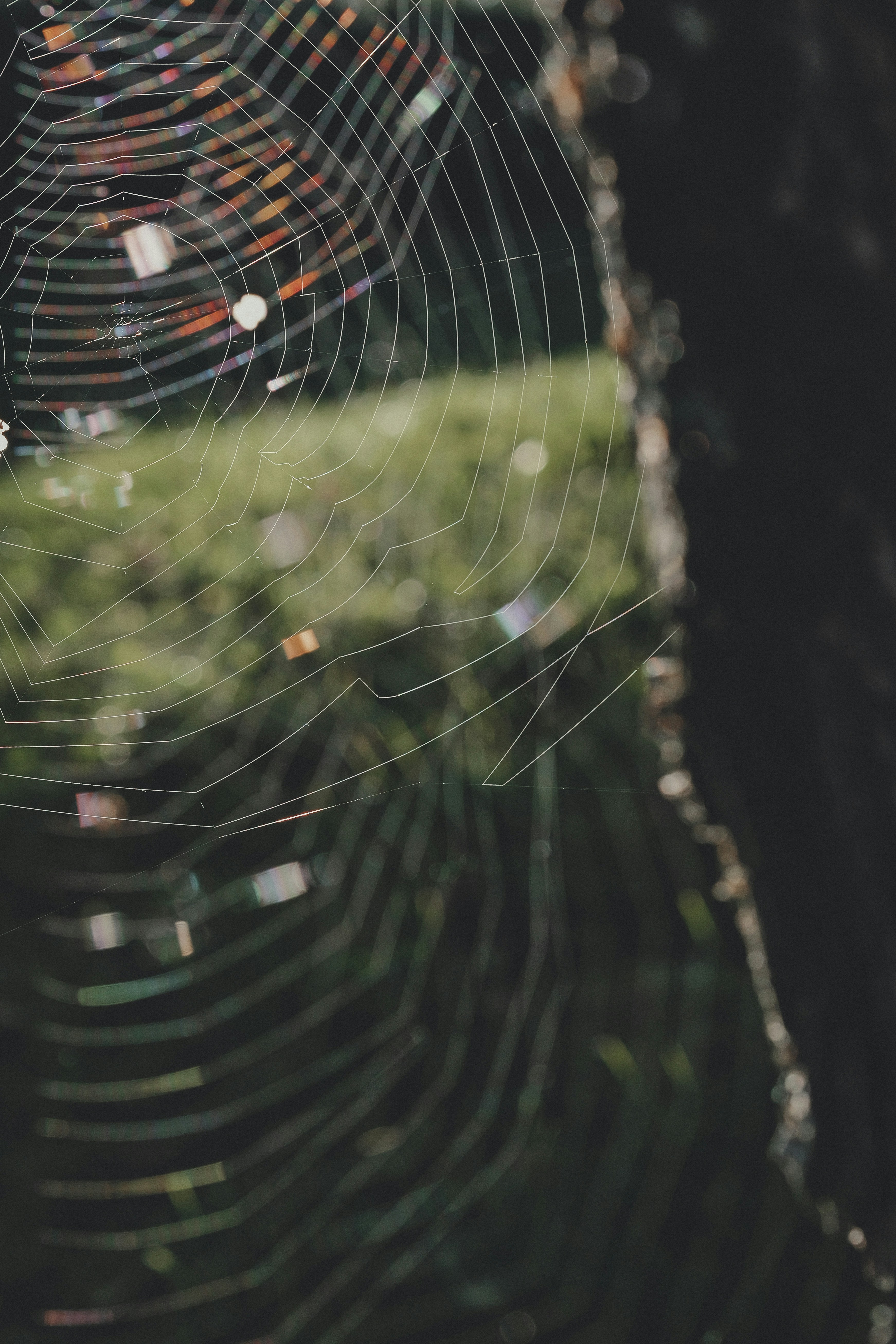 Photo by anyachernykh