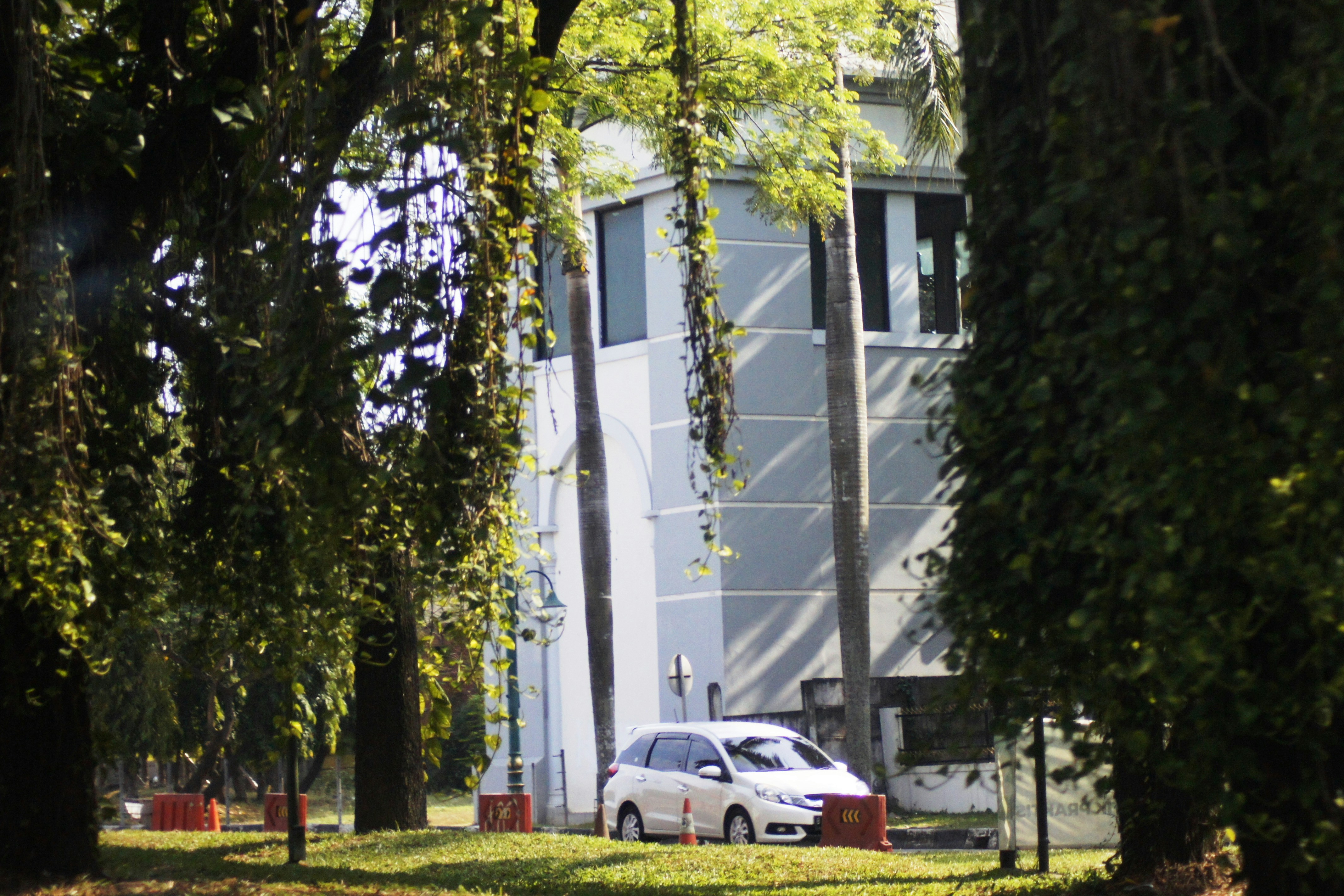White car parked near a modern building and trees