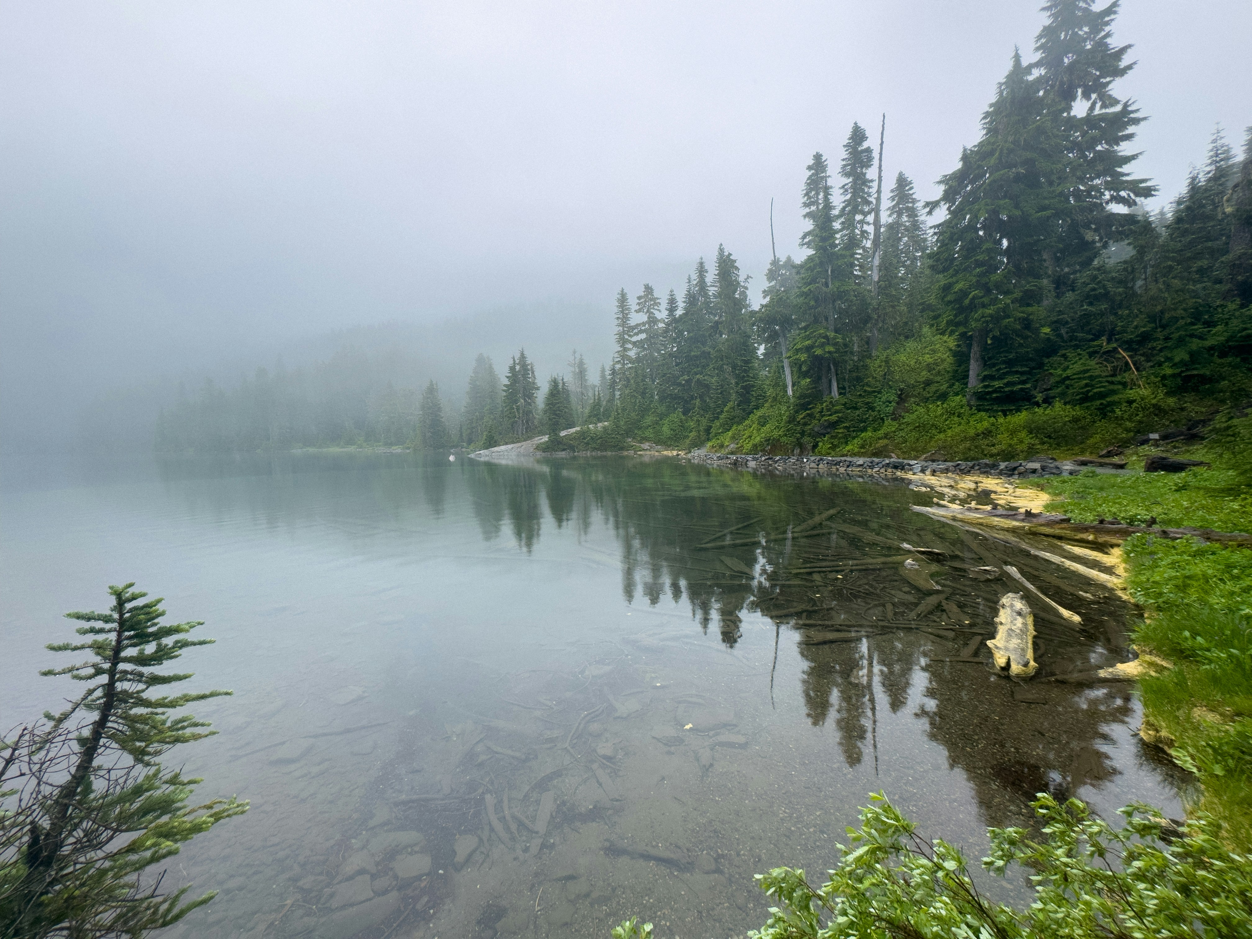 Photo by kamerondesign