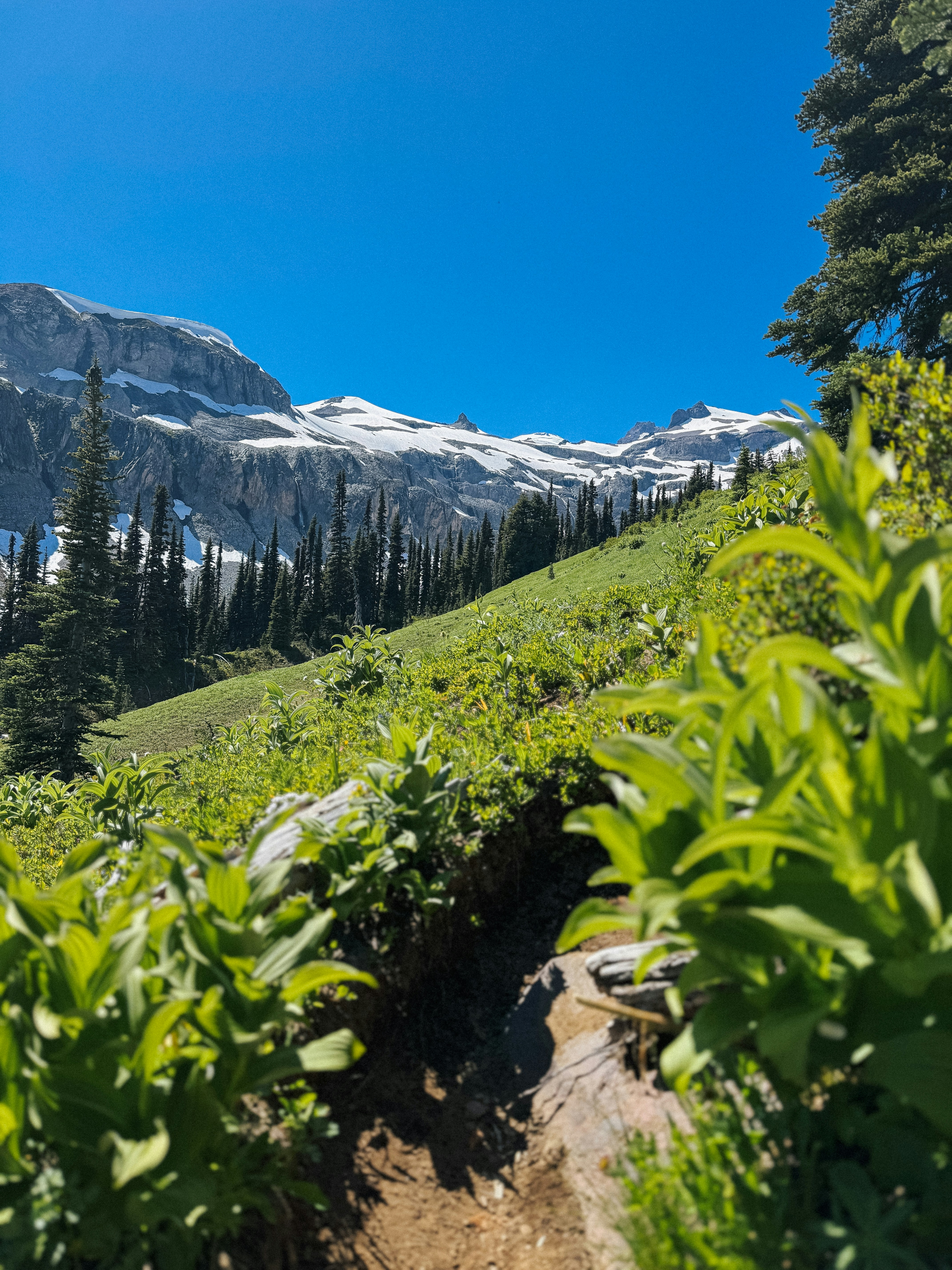 Photo by kamerondesign