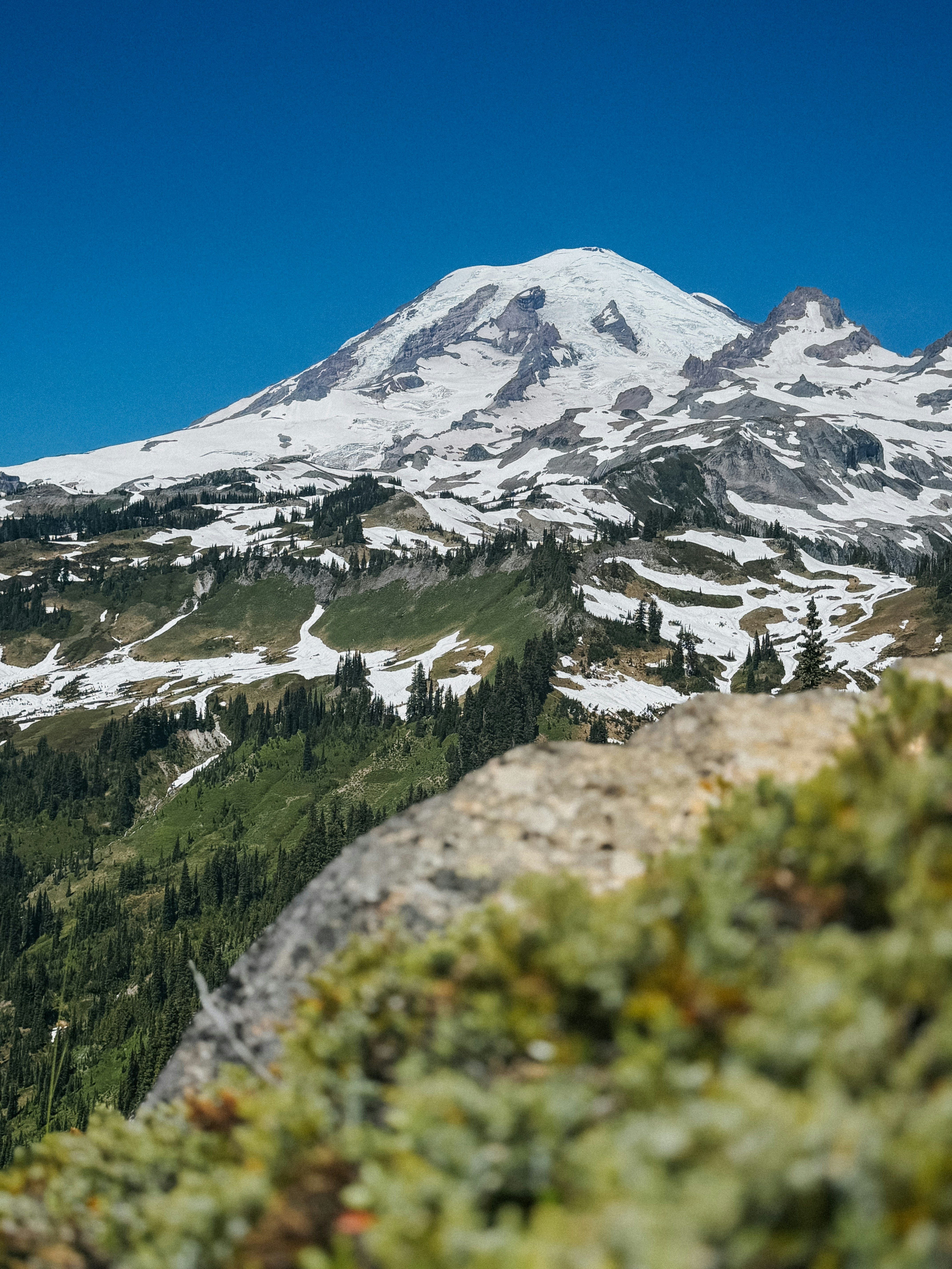 Photo by kamerondesign