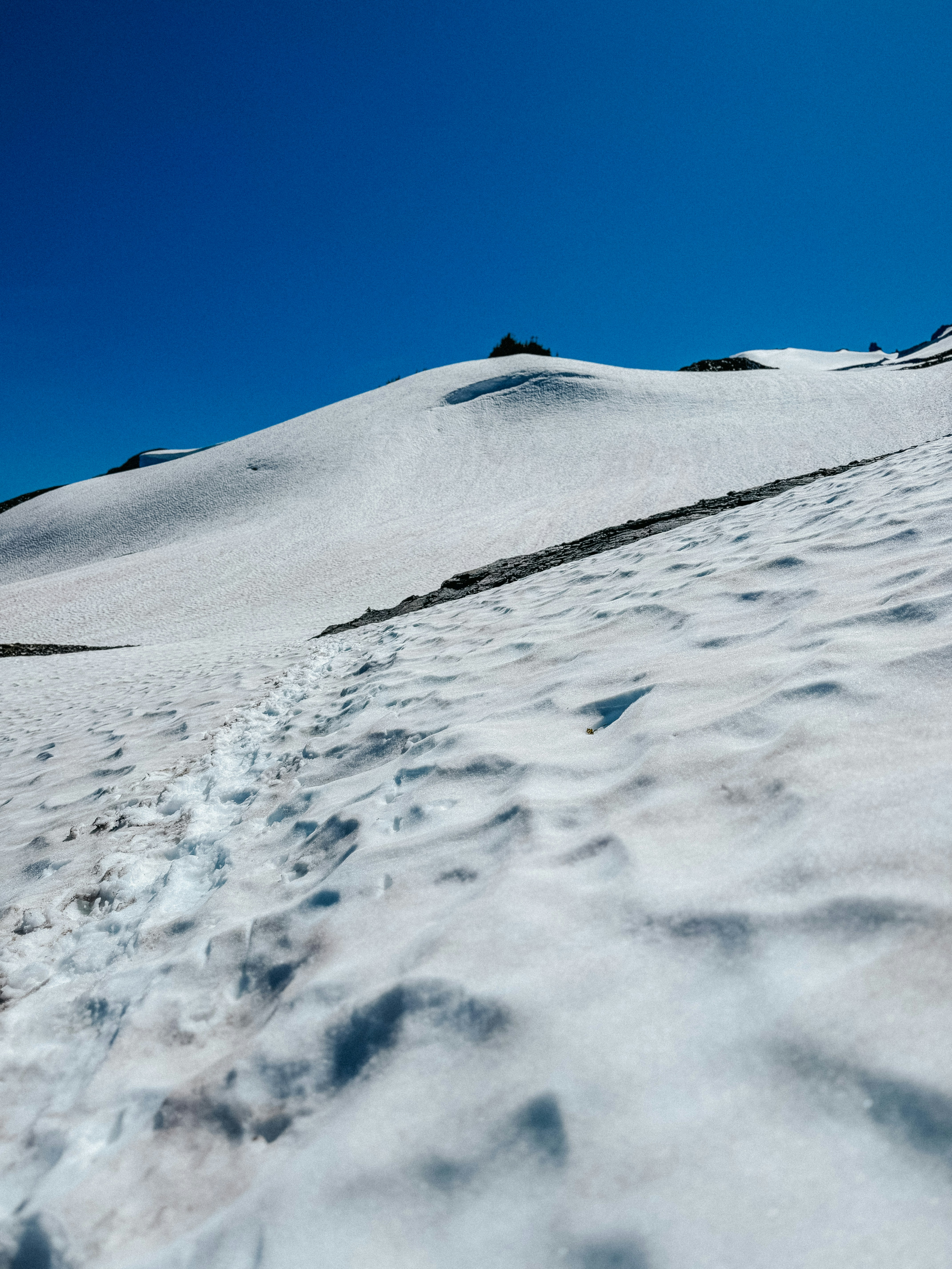 Photo by kamerondesign