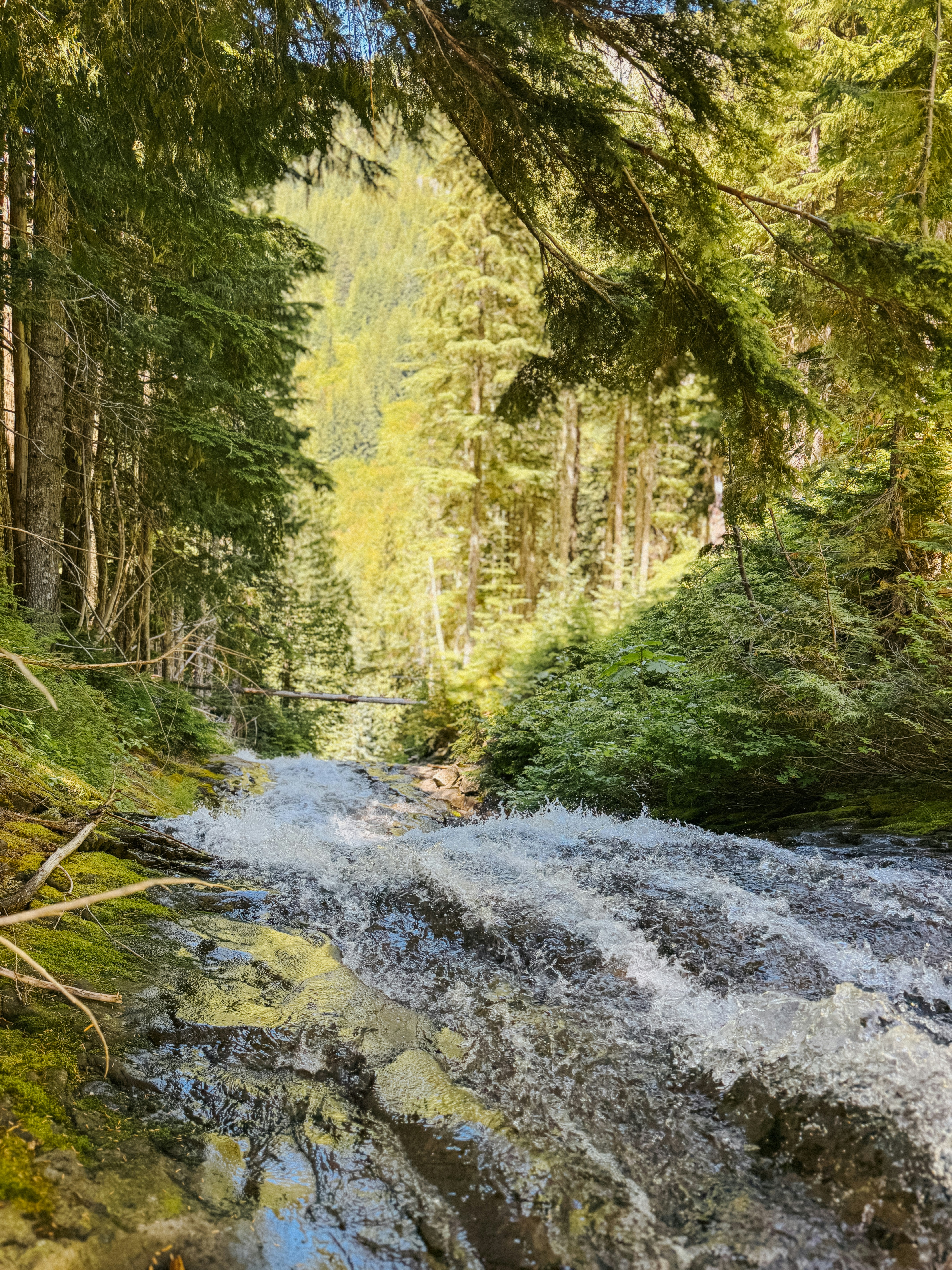 Photo by kamerondesign