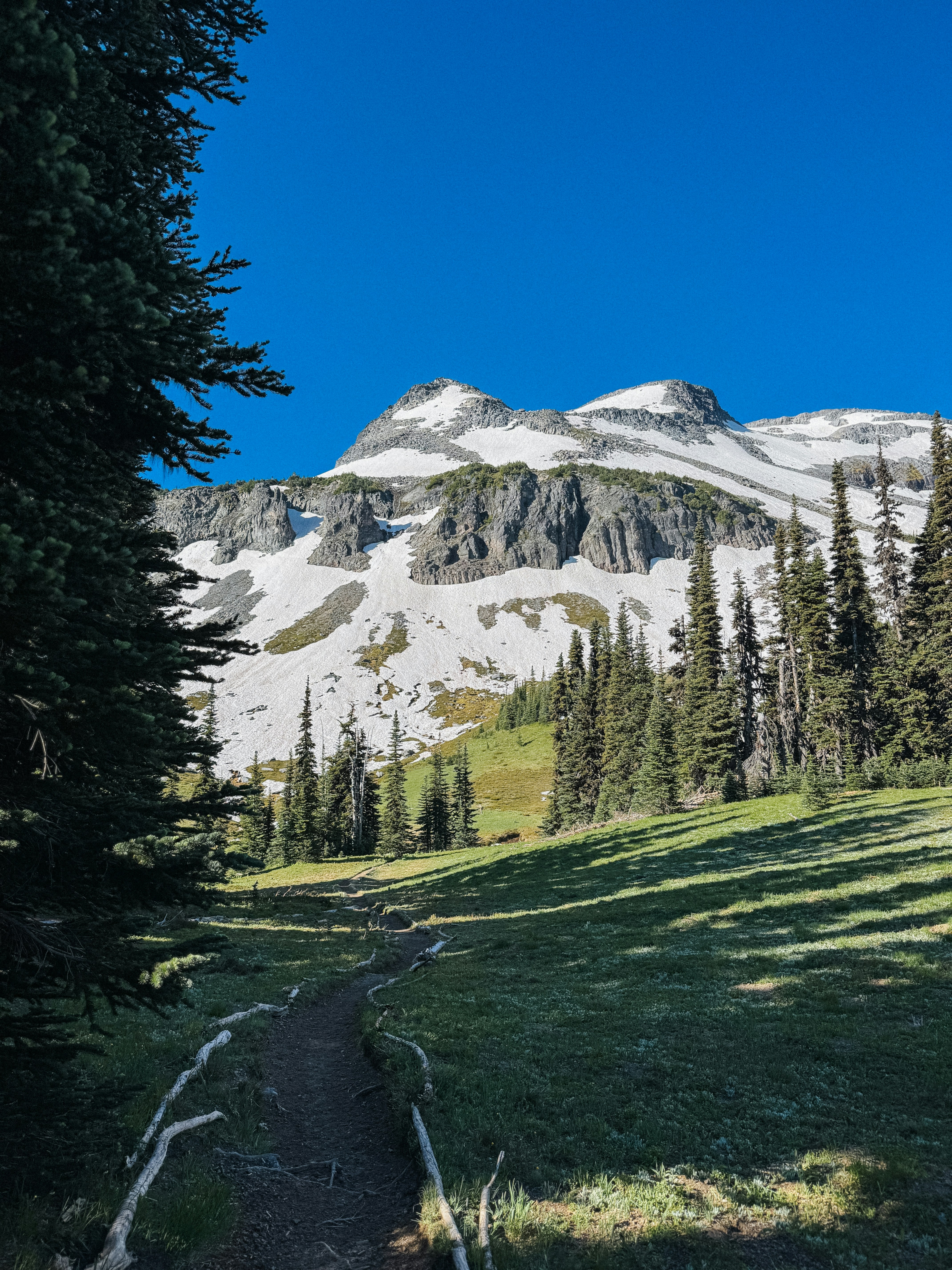 Photo by kamerondesign