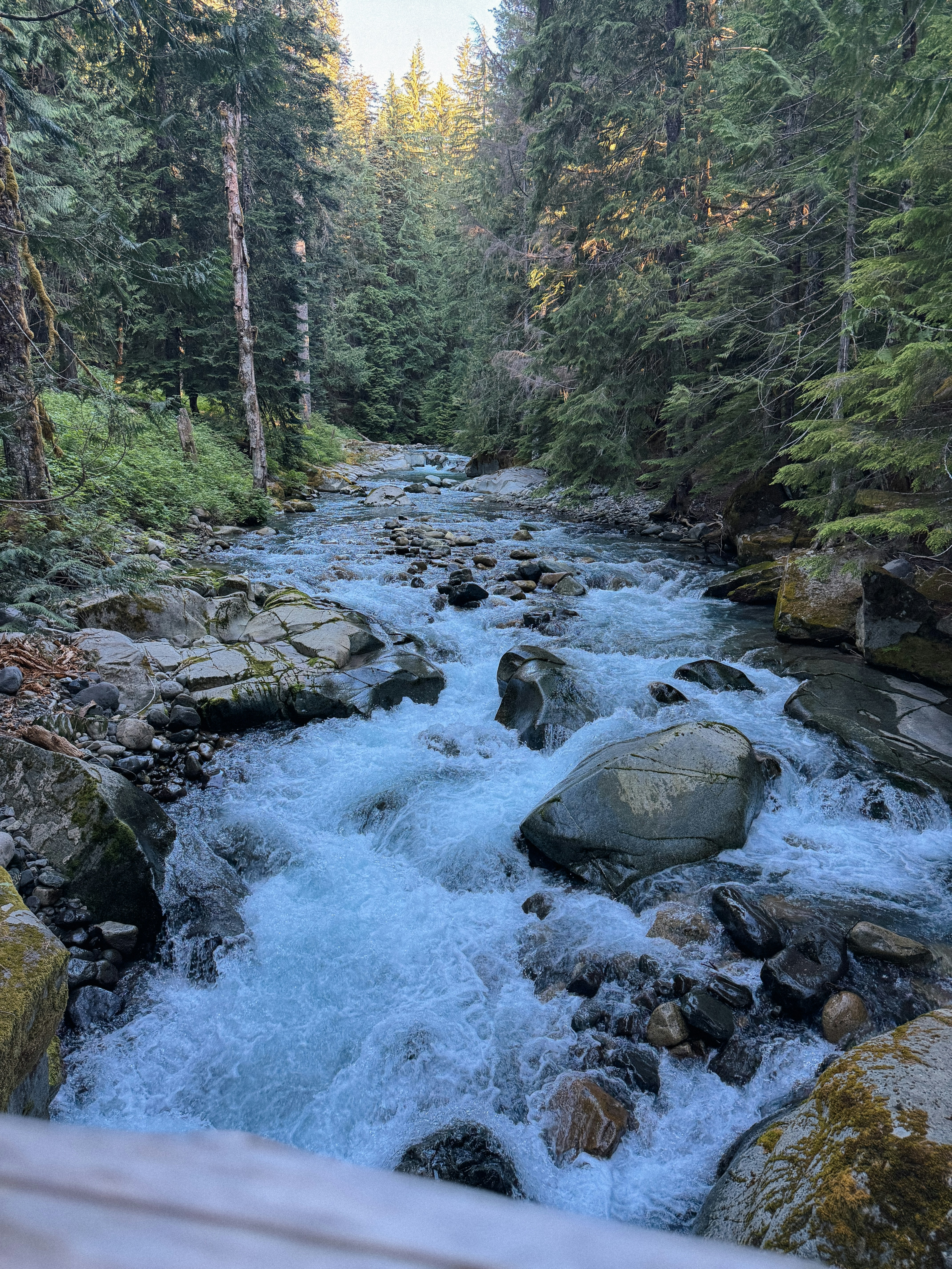 Photo by kamerondesign