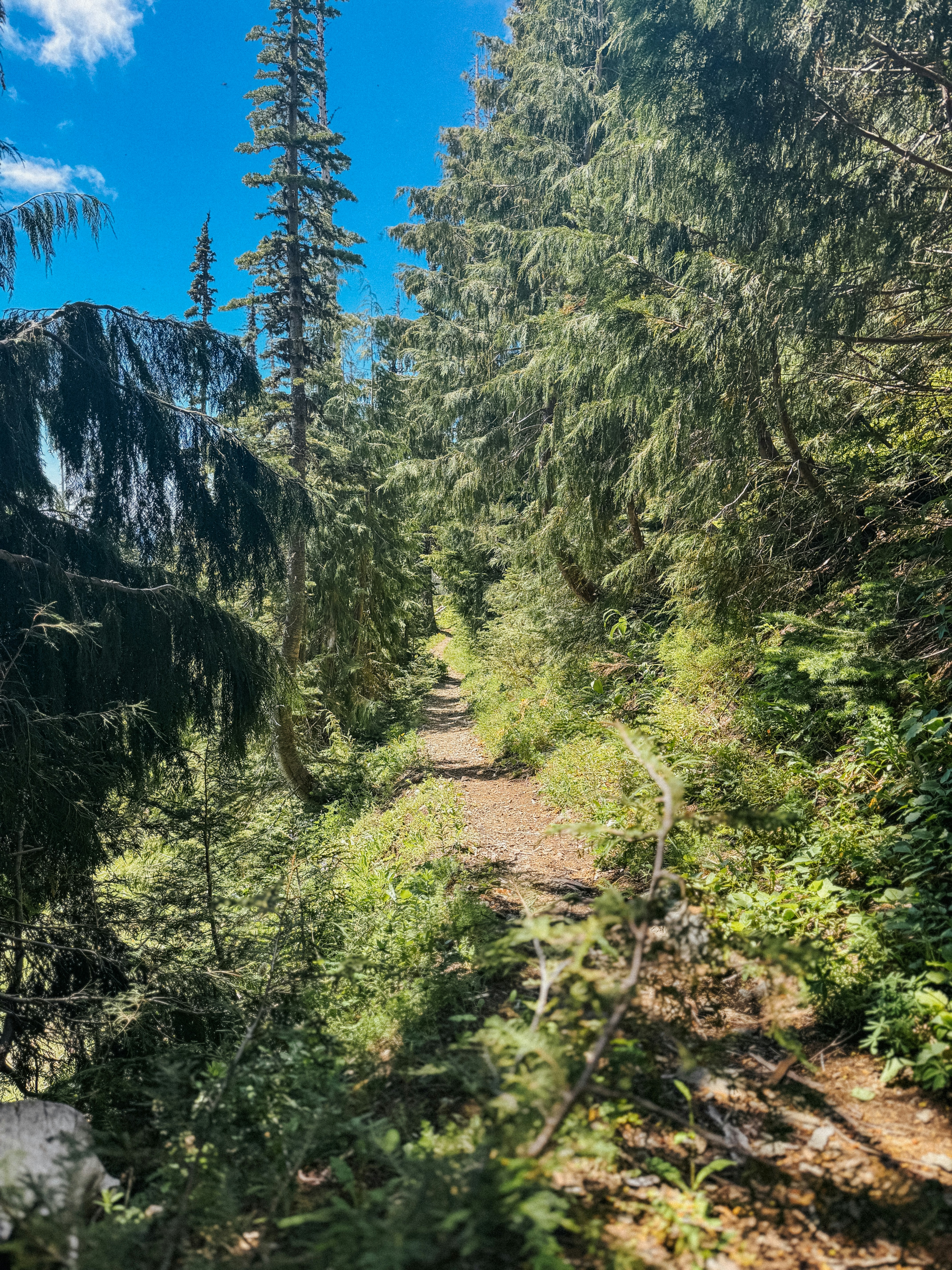 Photo by kamerondesign