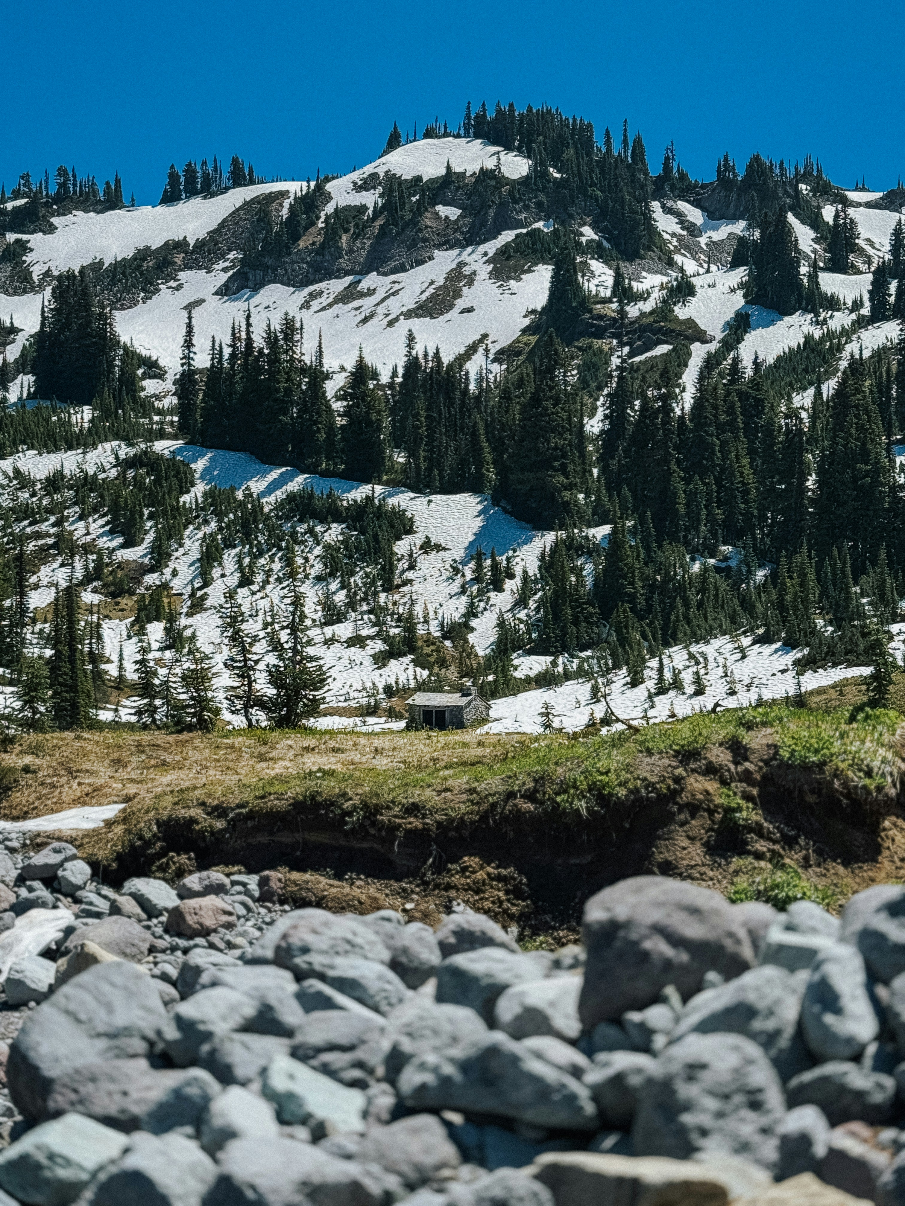 Photo by kamerondesign