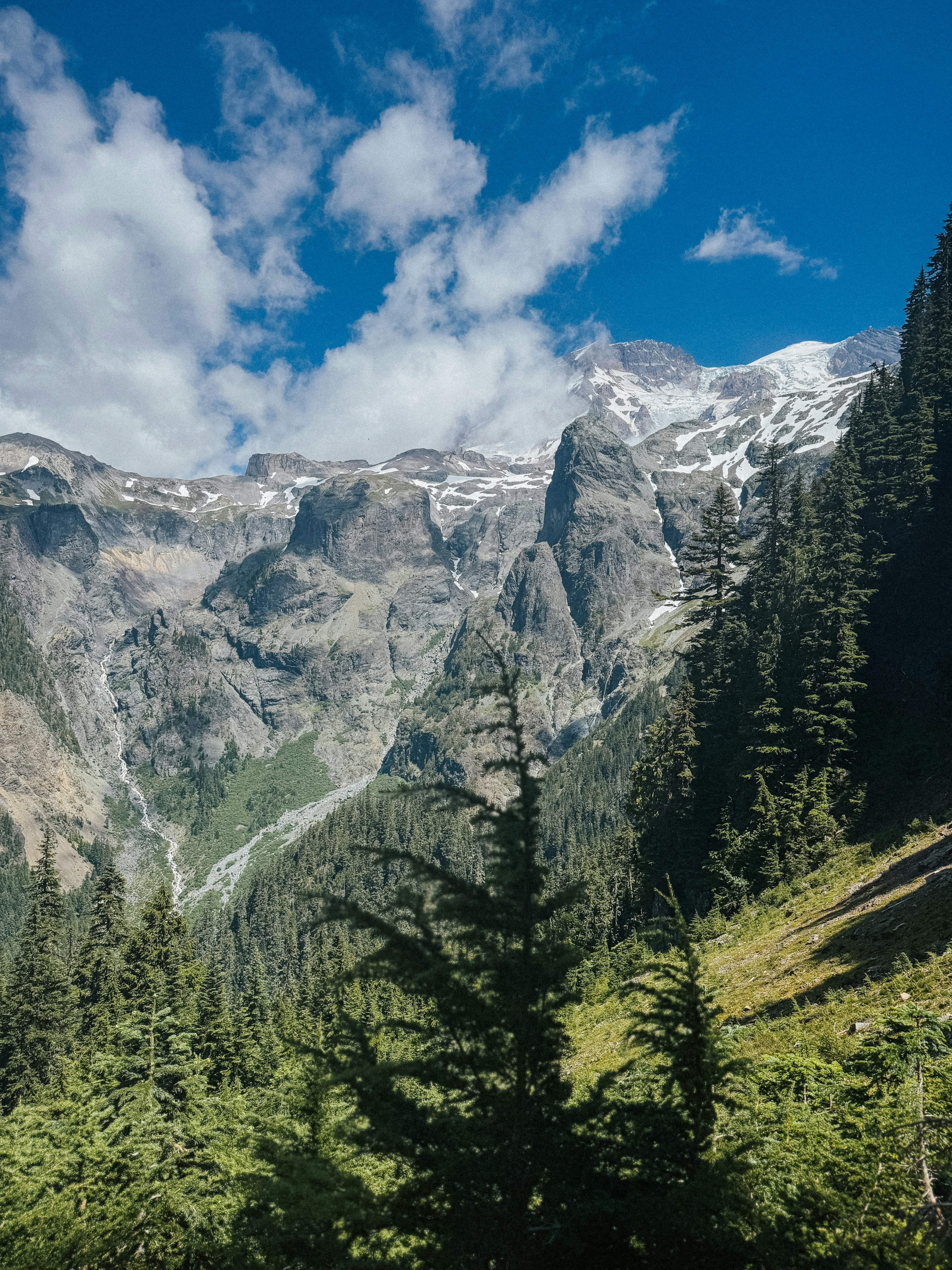 Photo by kamerondesign