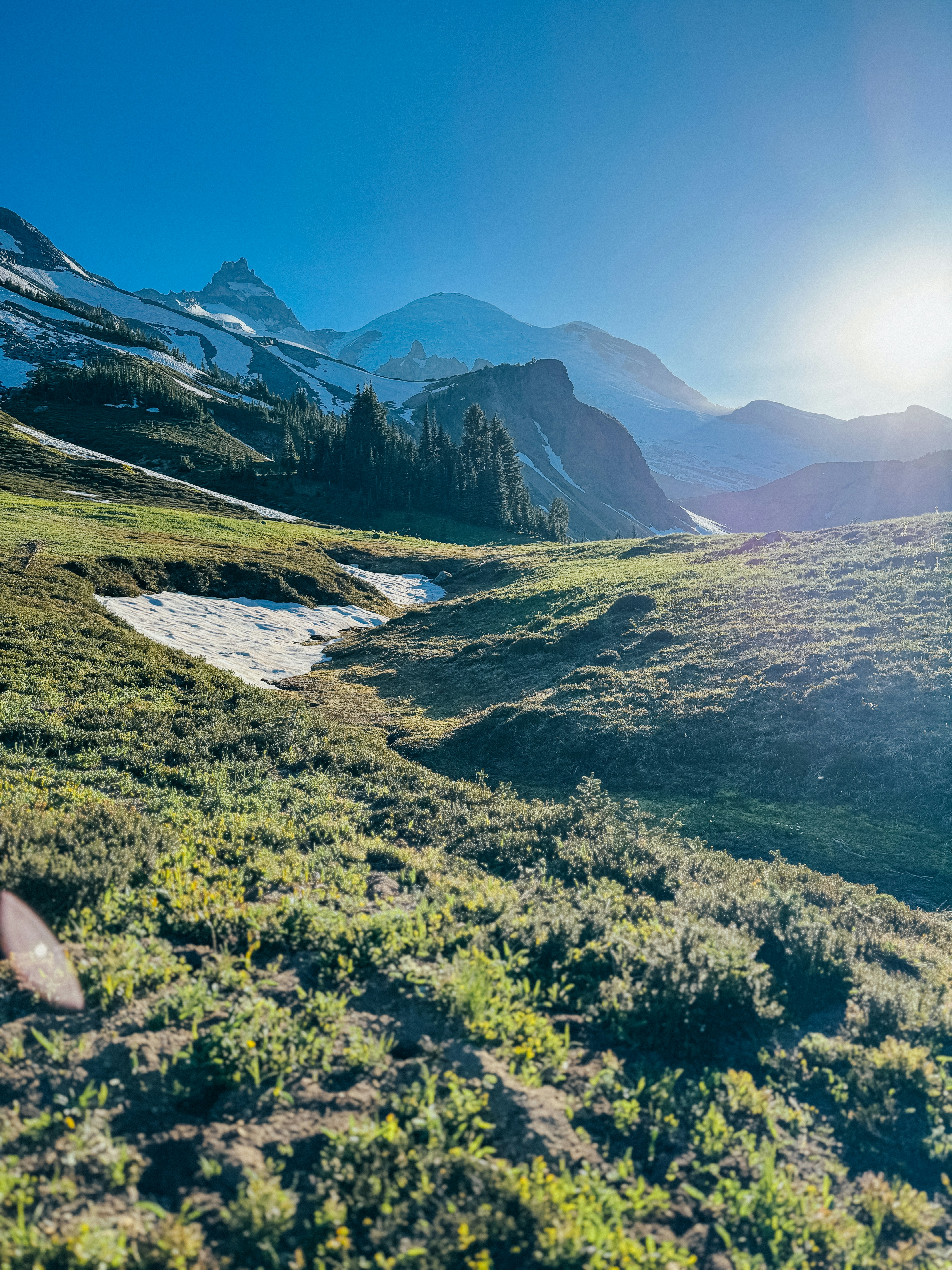 Photo by kamerondesign