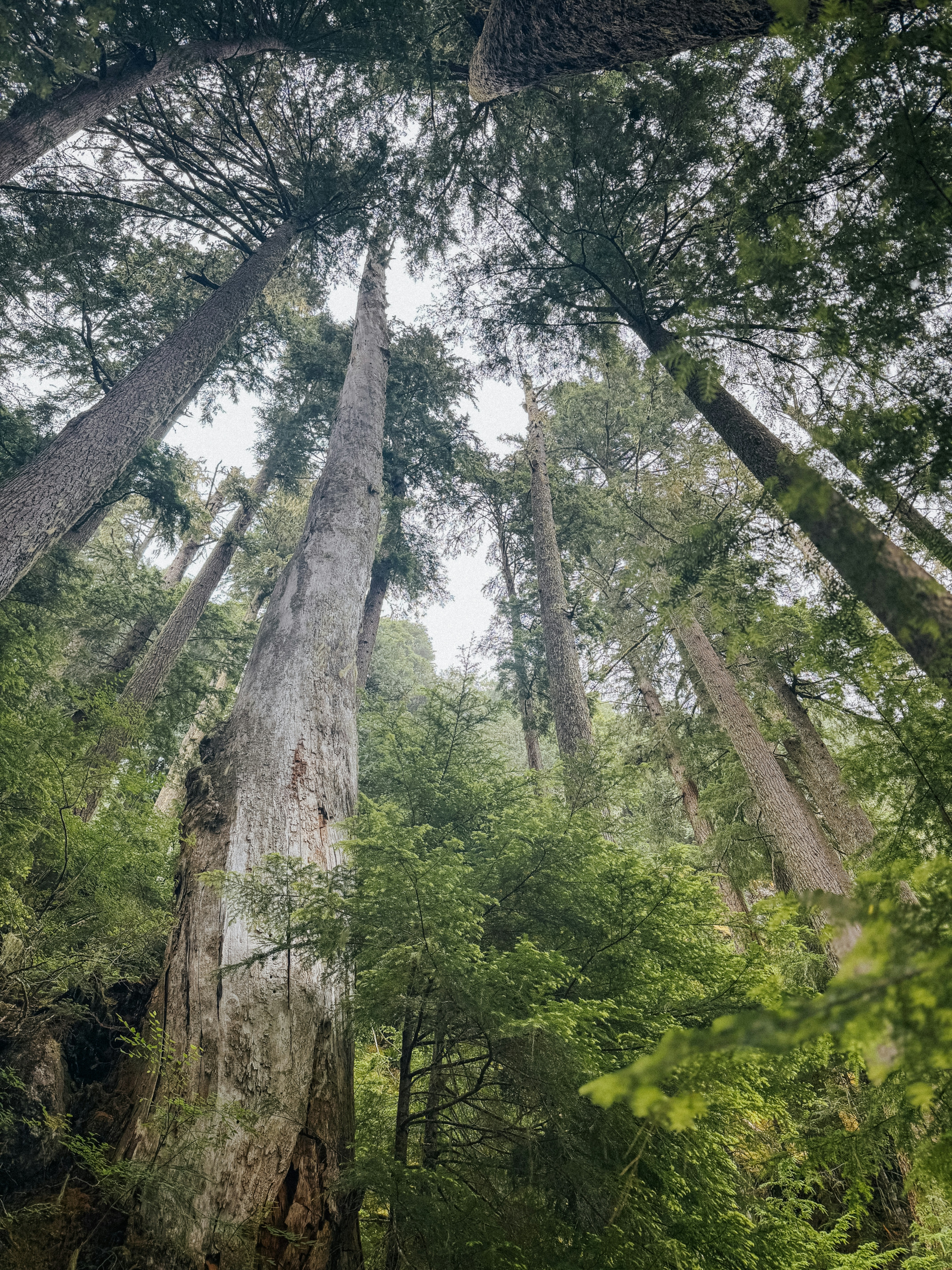 Photo by kamerondesign