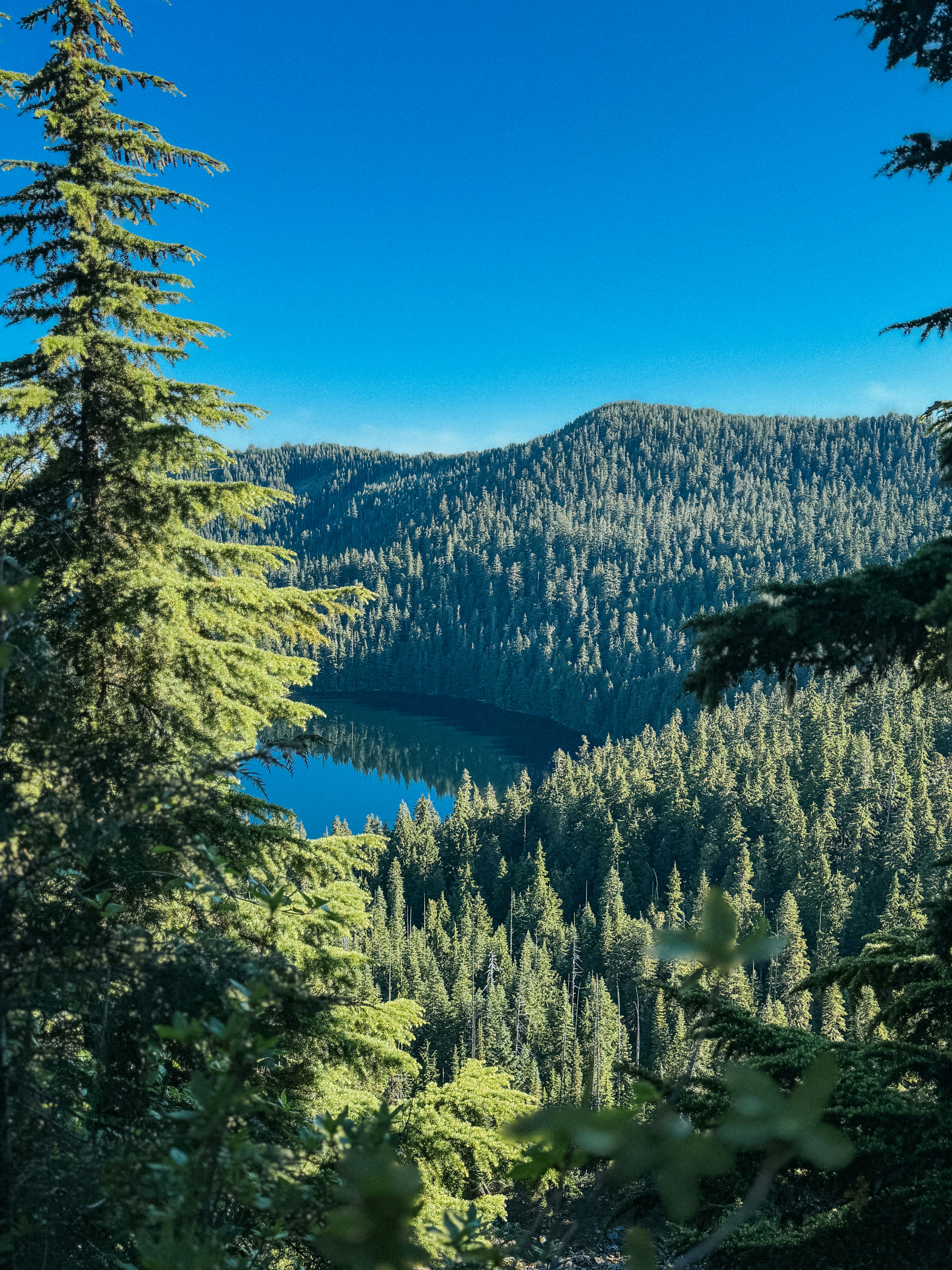 Photo by kamerondesign