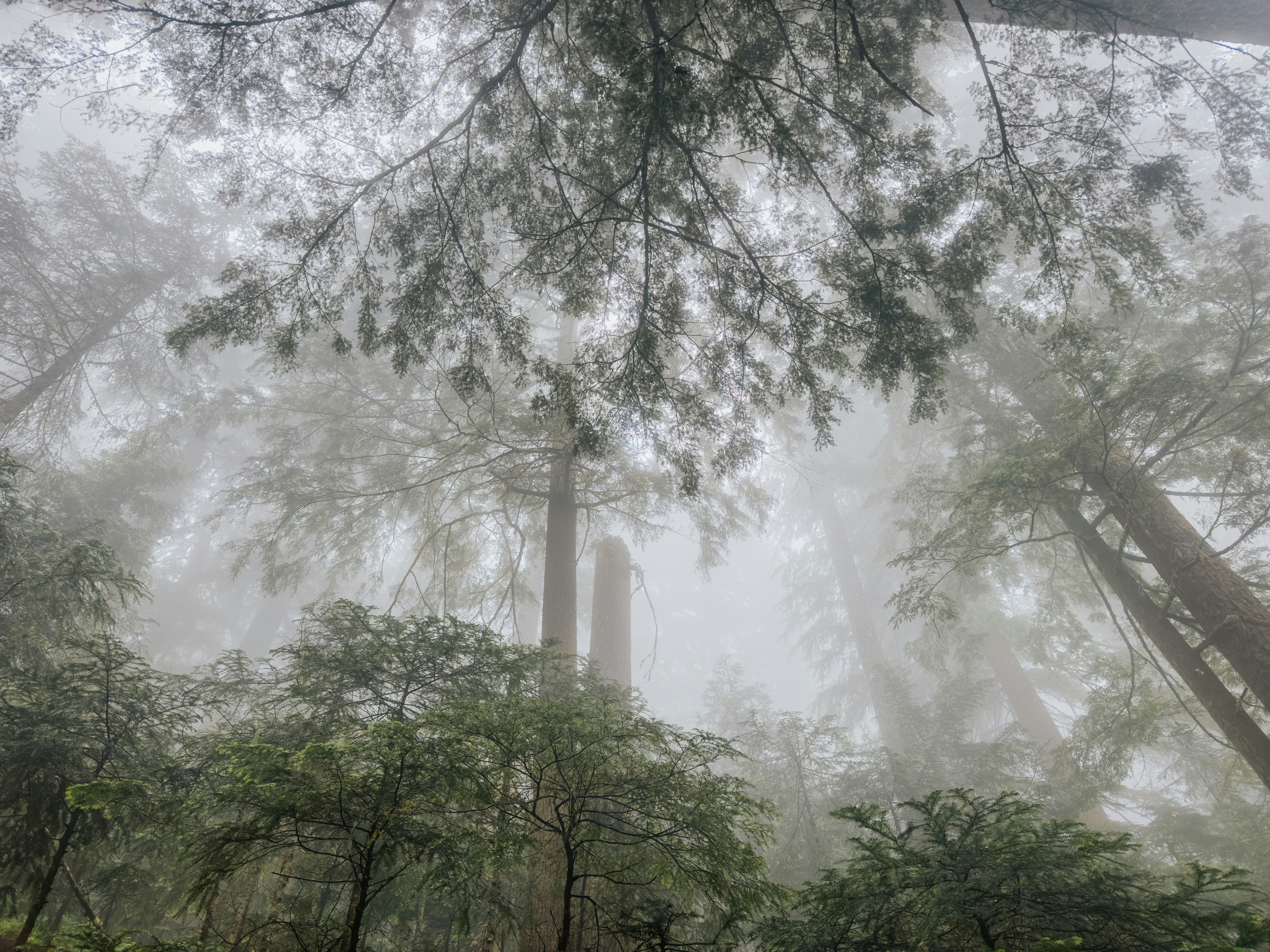 Photo by kamerondesign