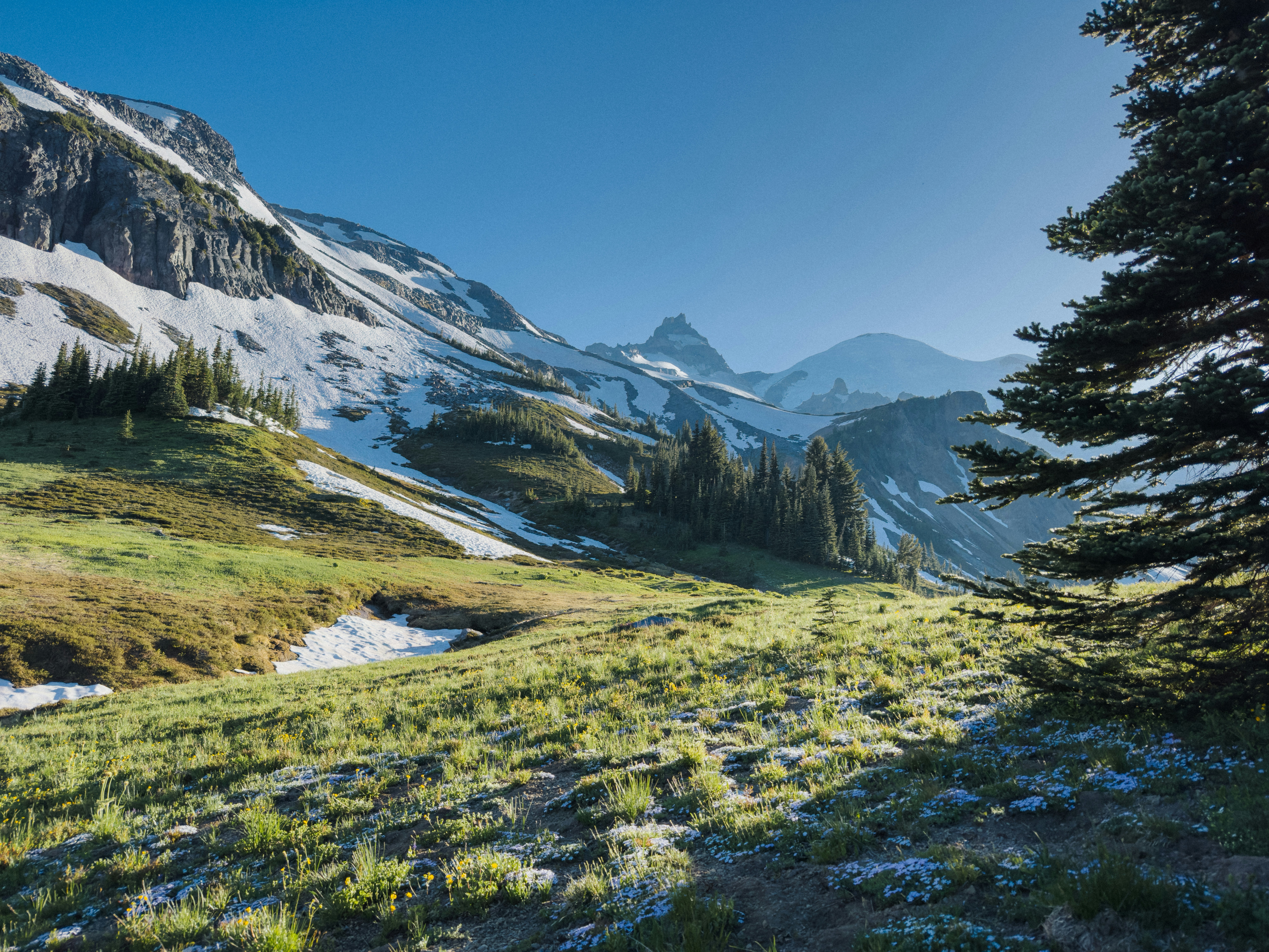 Photo by kamerondesign