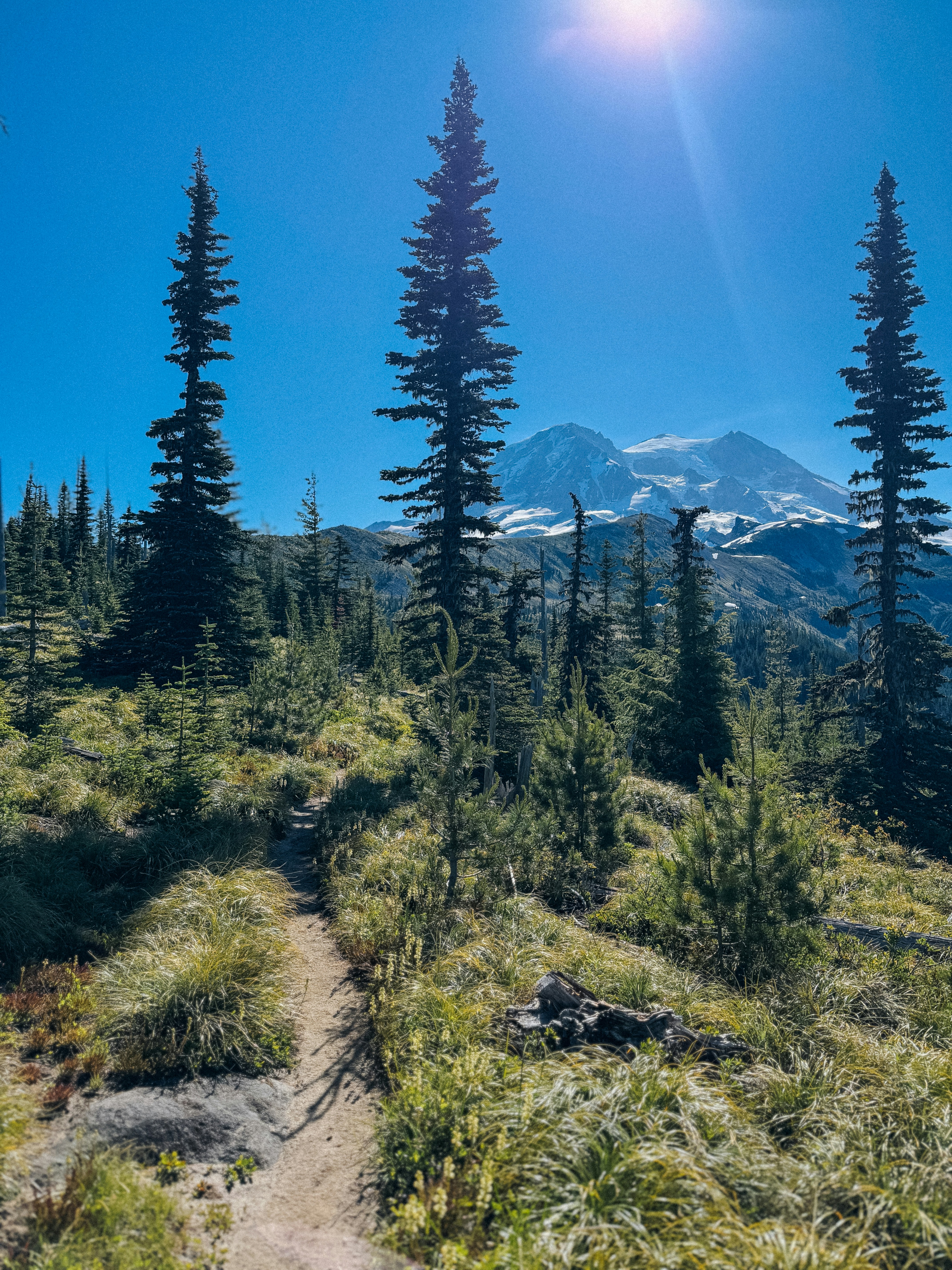 Photo by kamerondesign