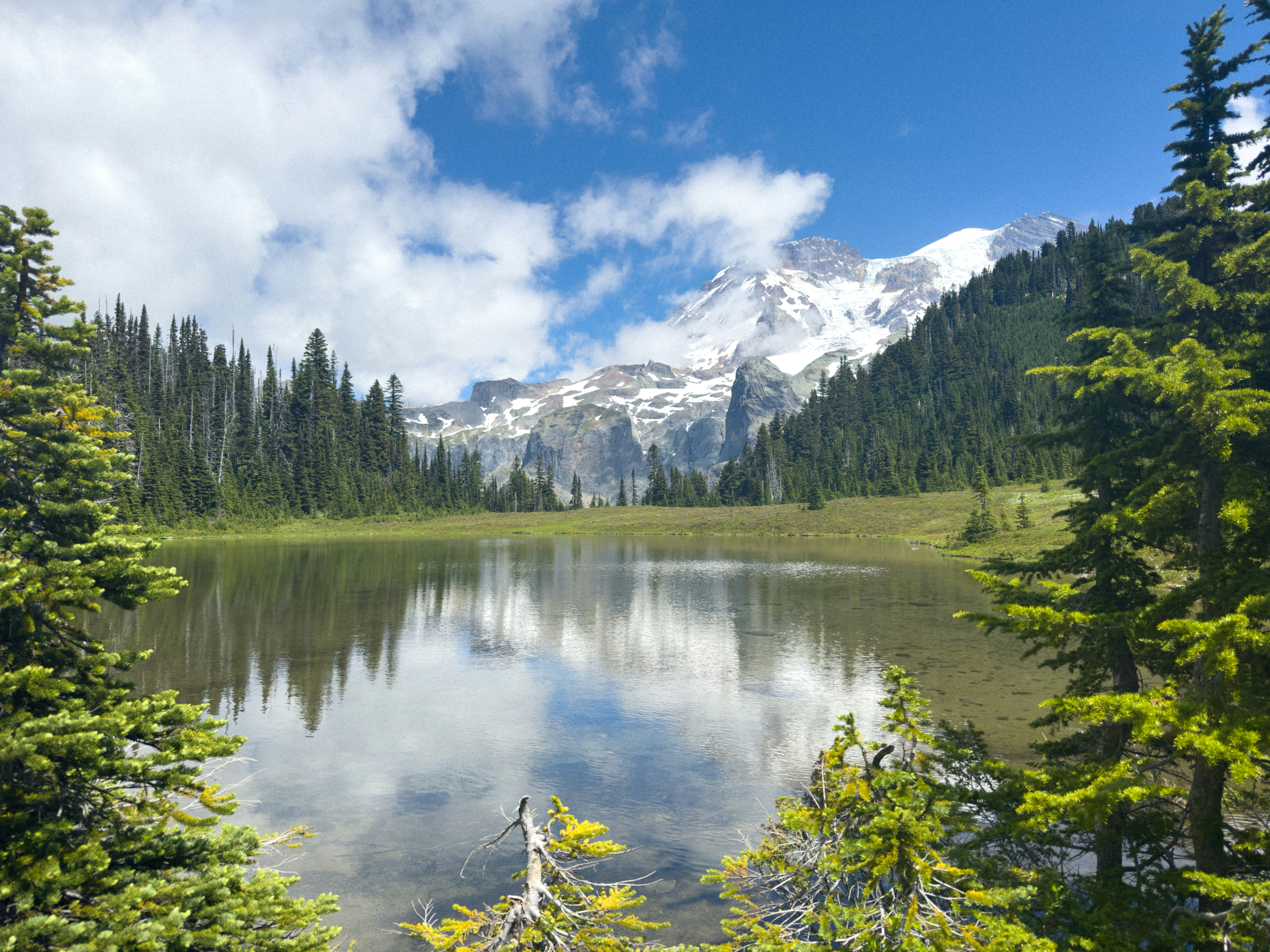 Photo by kamerondesign