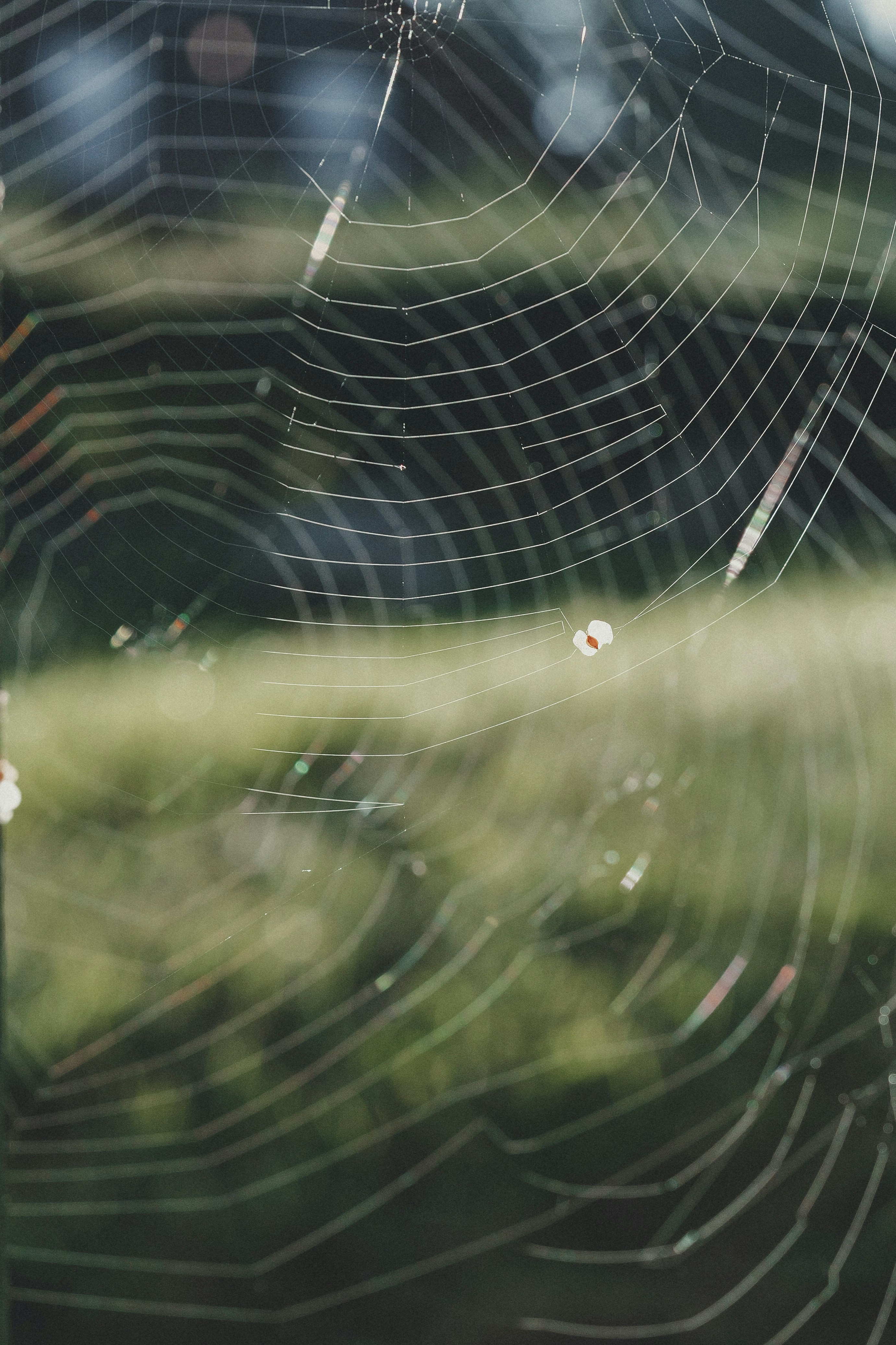 Photo by anyachernykh