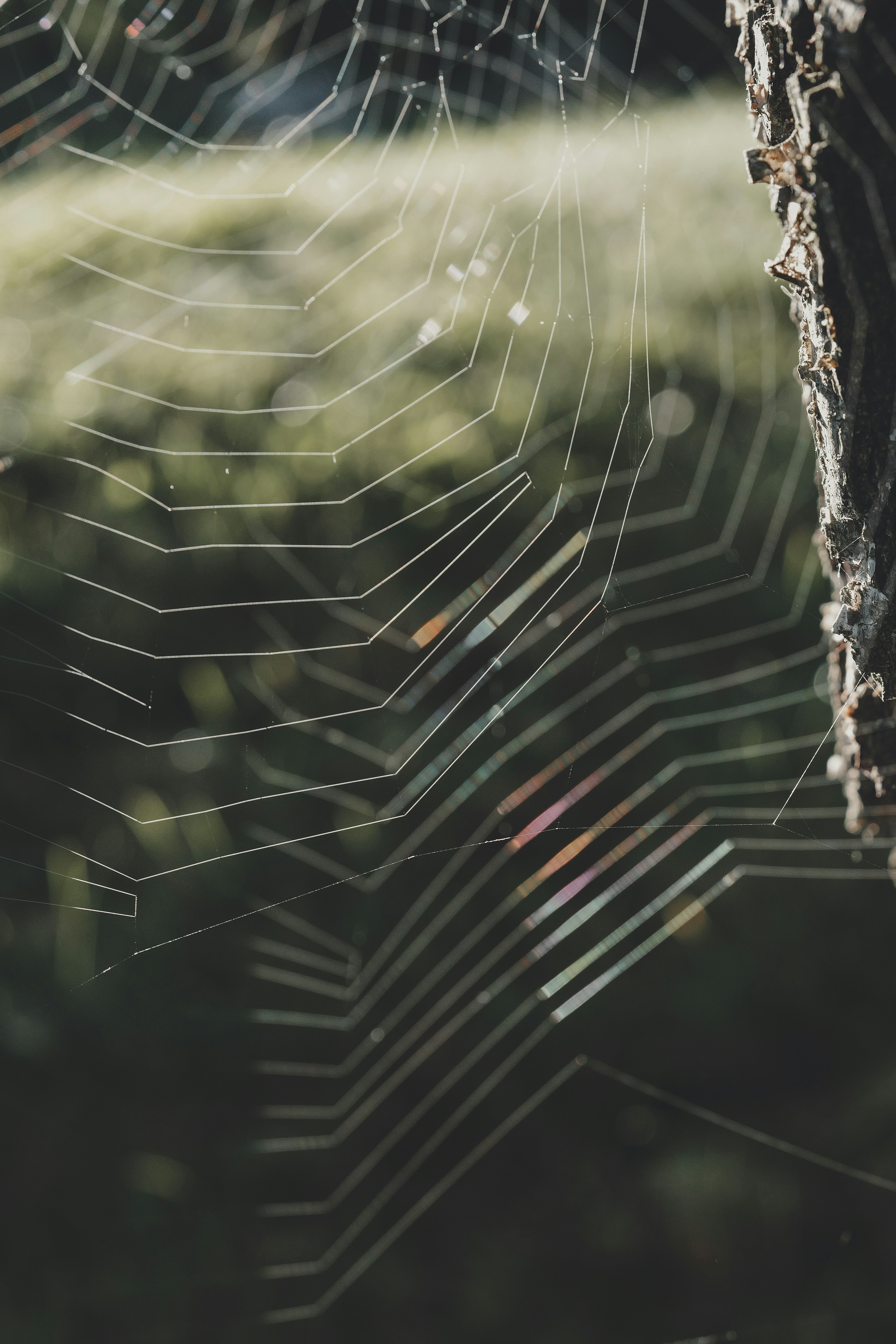 Photo by anyachernykh