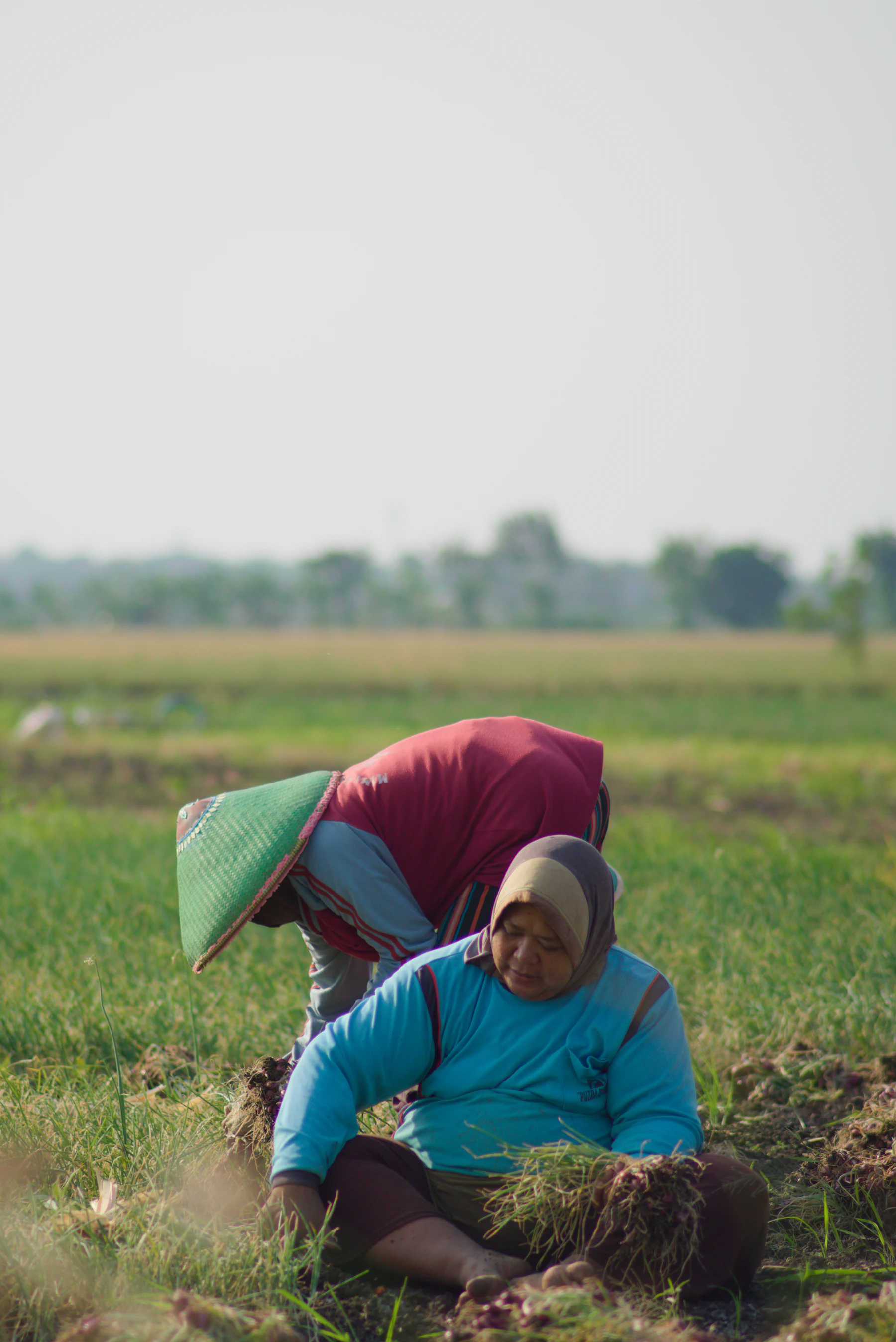 Two farmers working in a field