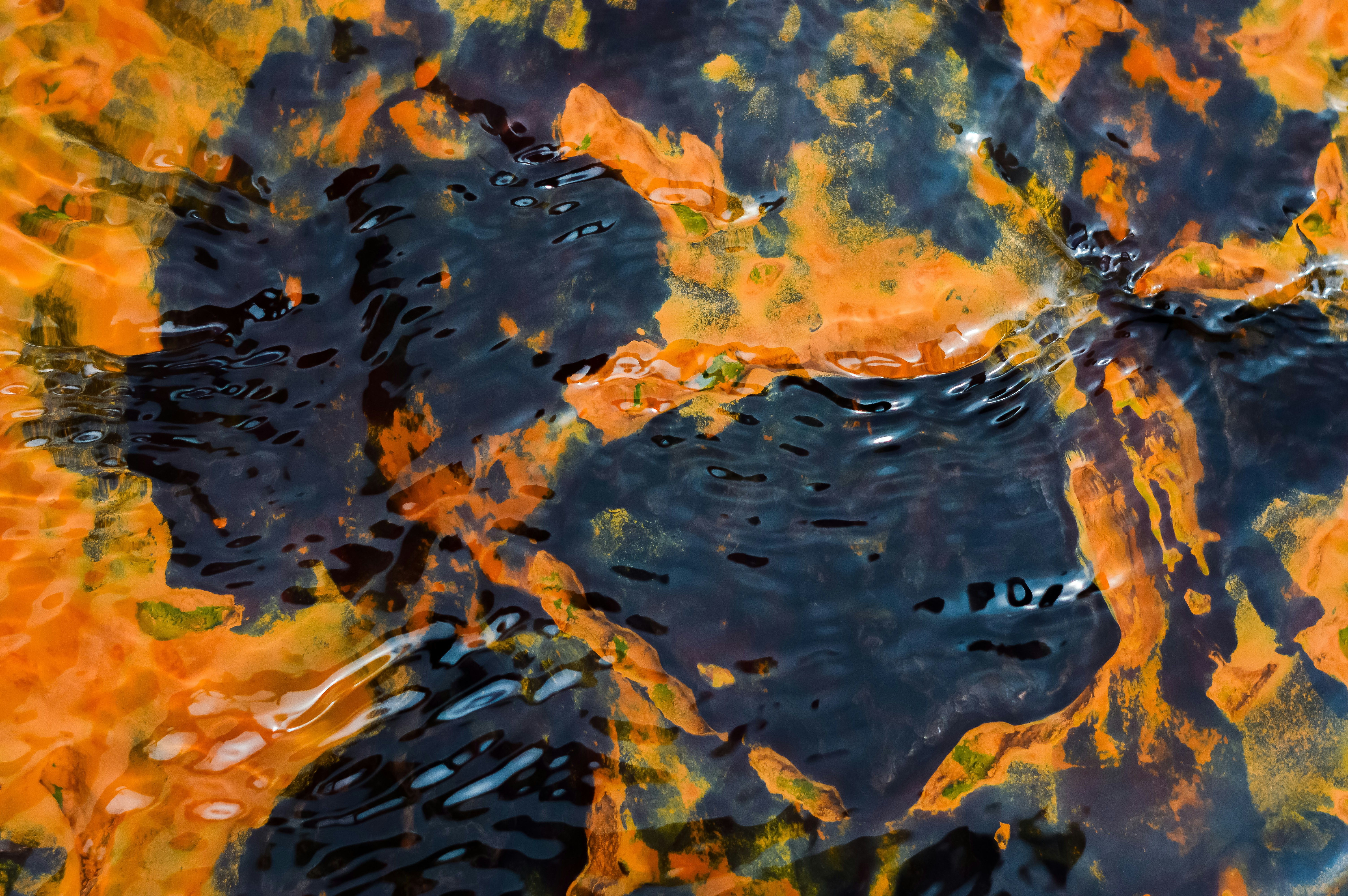 Abstract pattern of orange and black textures