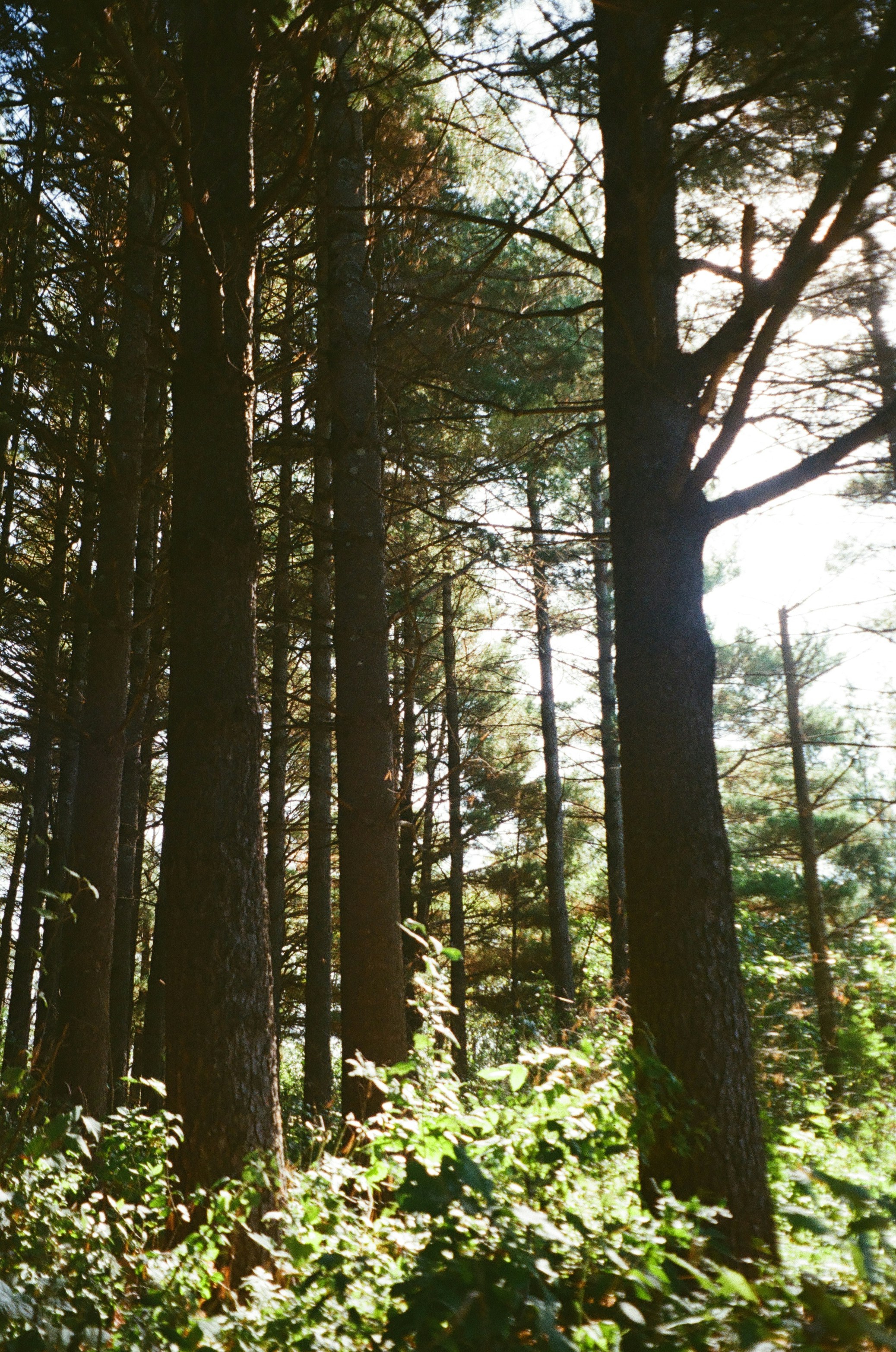 Photo by a_bug_making_things