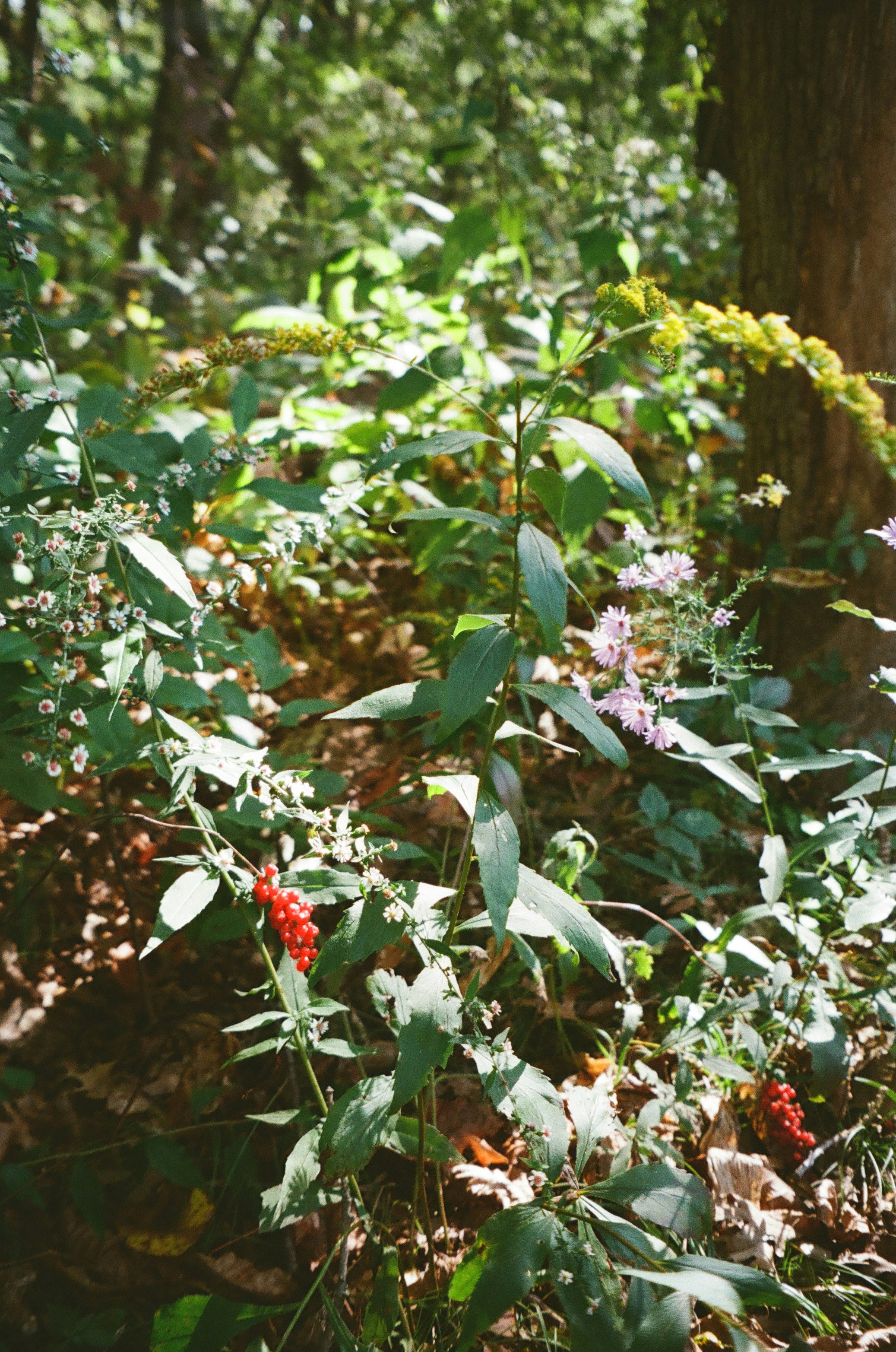 Photo by a_bug_making_things