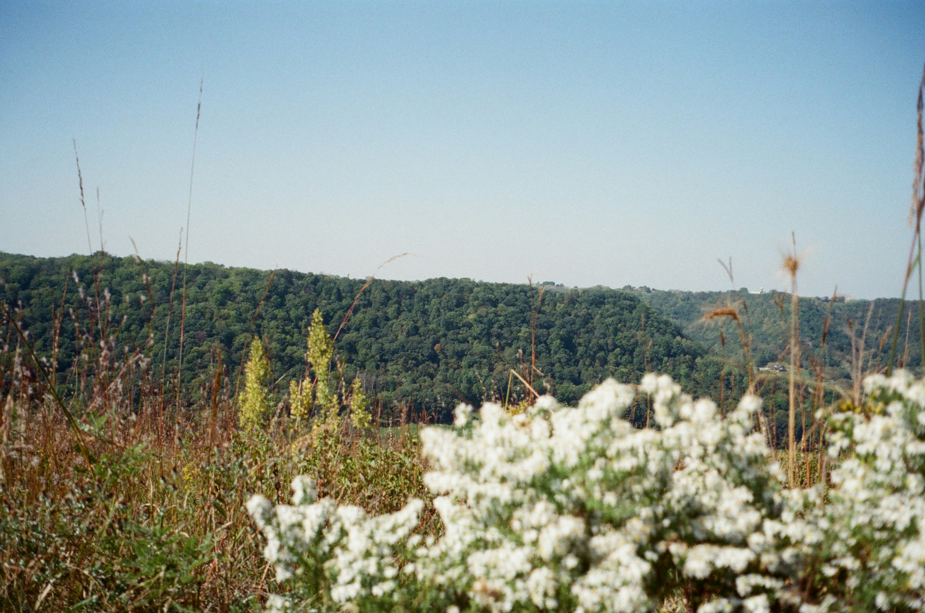 Great River Park