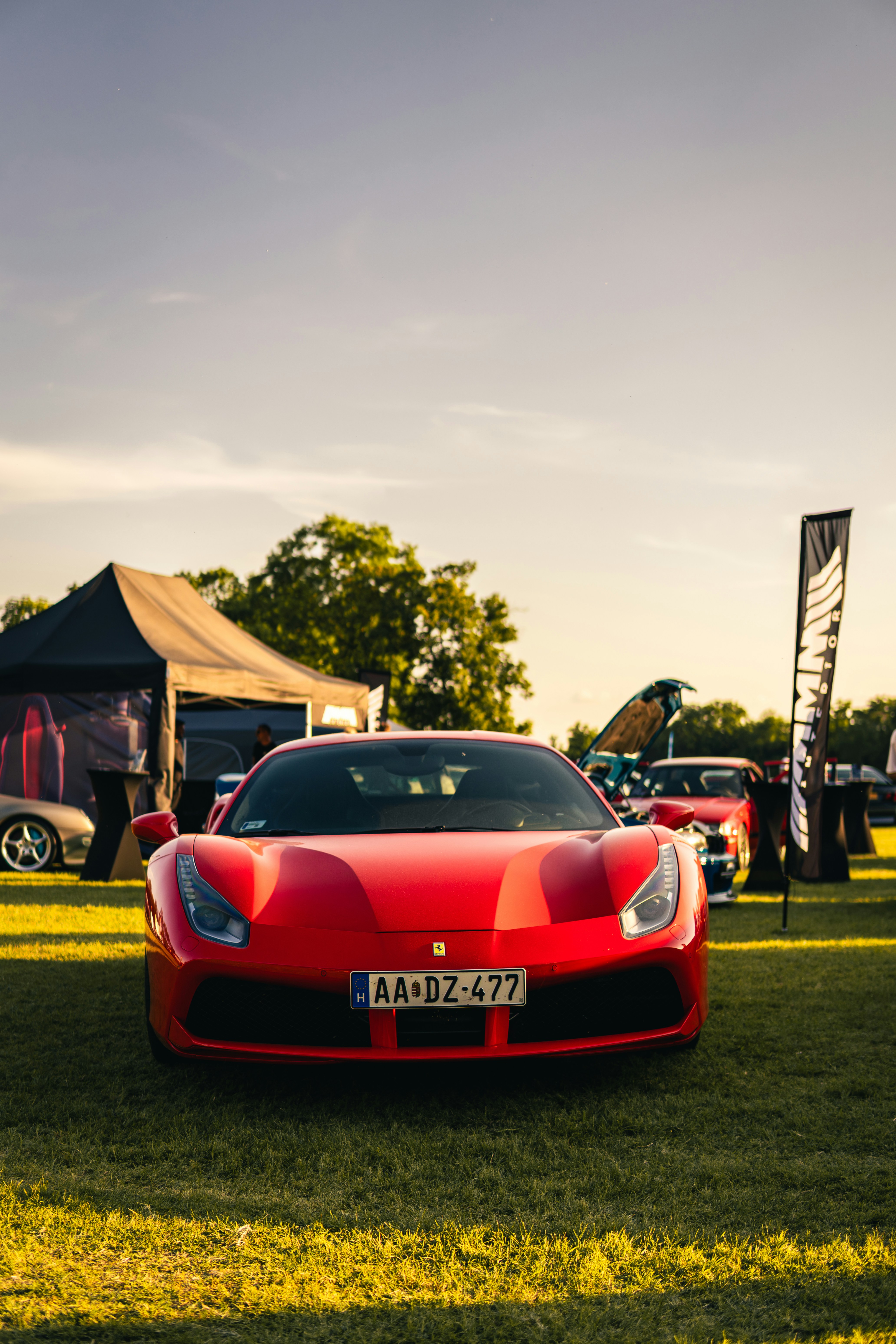 A red ferrari parked on a grassy field