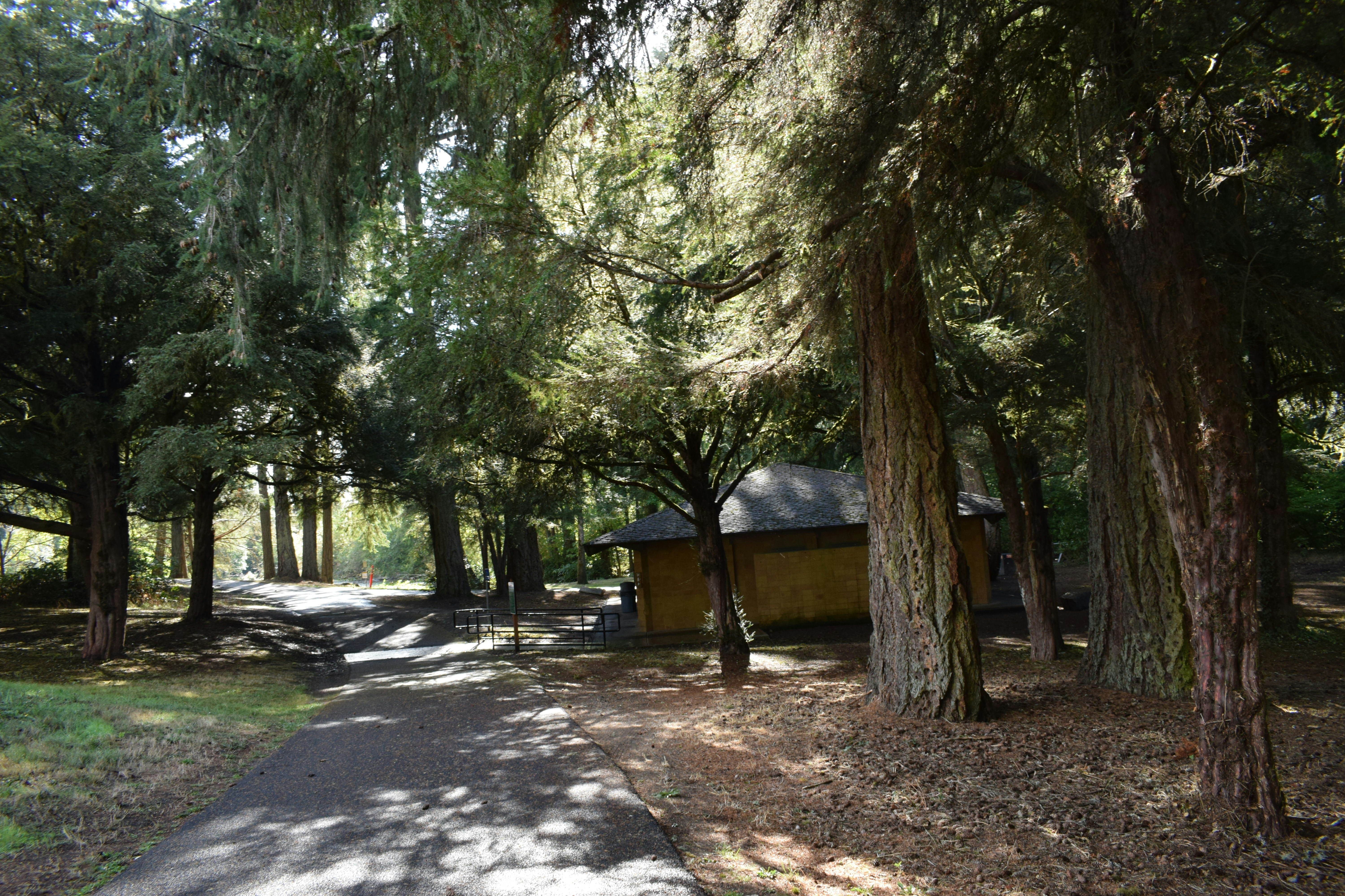 A path leads to a yellow building in a forest.