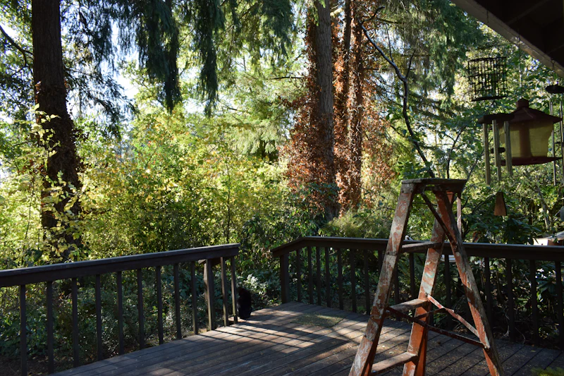 Refinished cedar deck stain in Lake Oswego