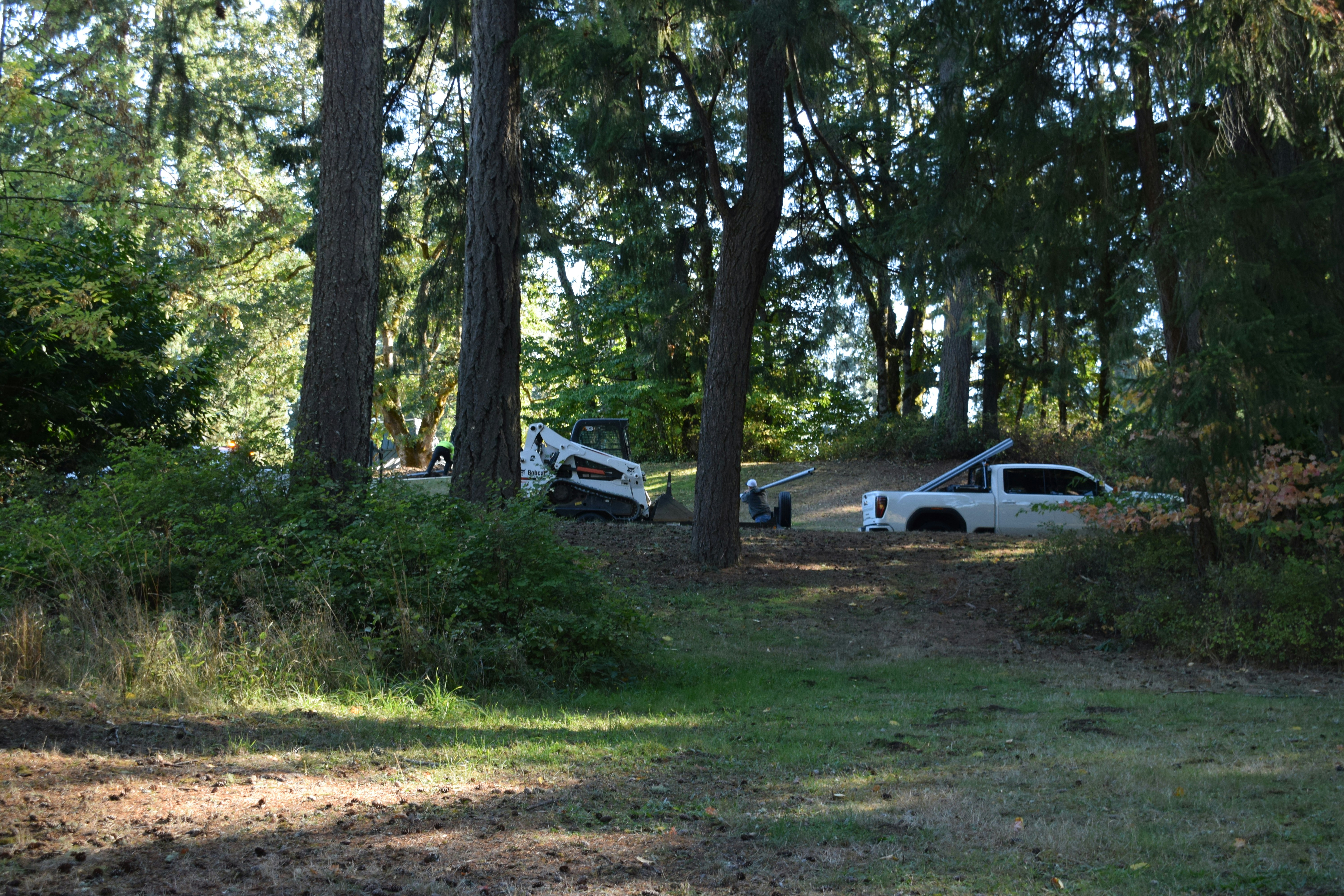 Alternative text for describing the image displayed