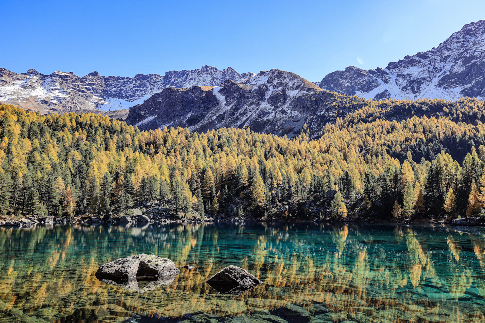 Une forêt aux couleurs d’automne et des montagnes se reflètent dans un lac clair.