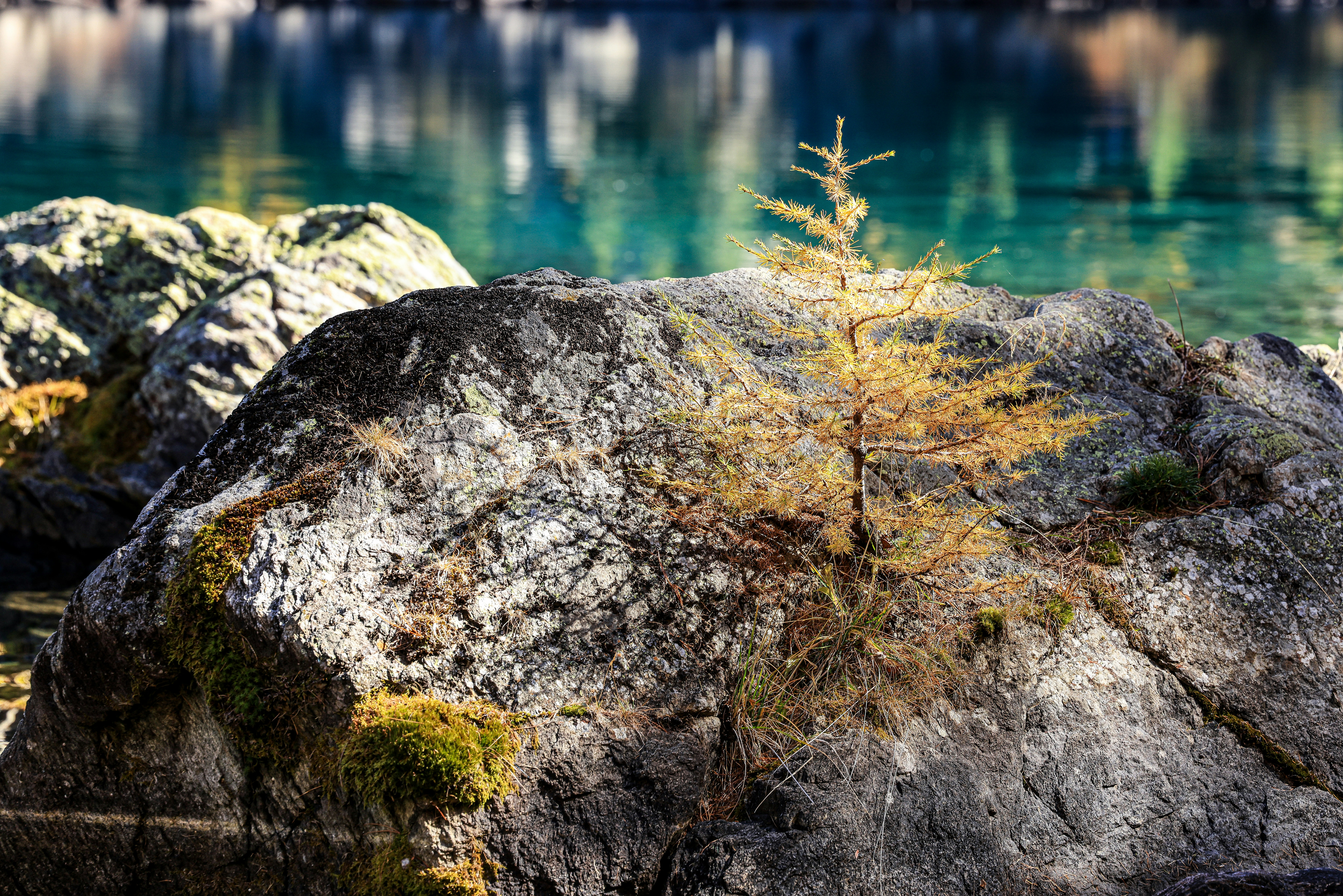 Photo by maximilian_brand