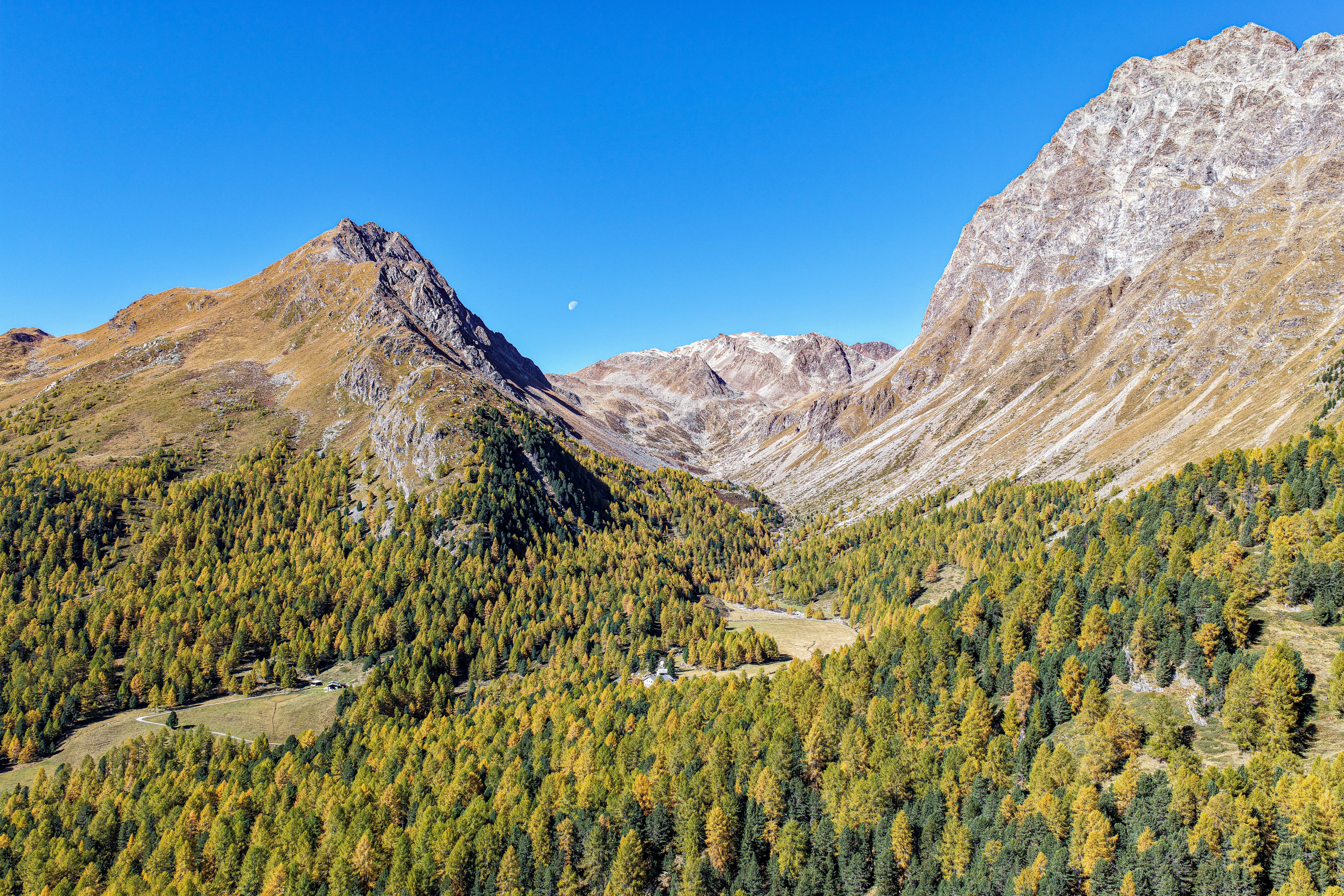 Photo by maximilian_brand