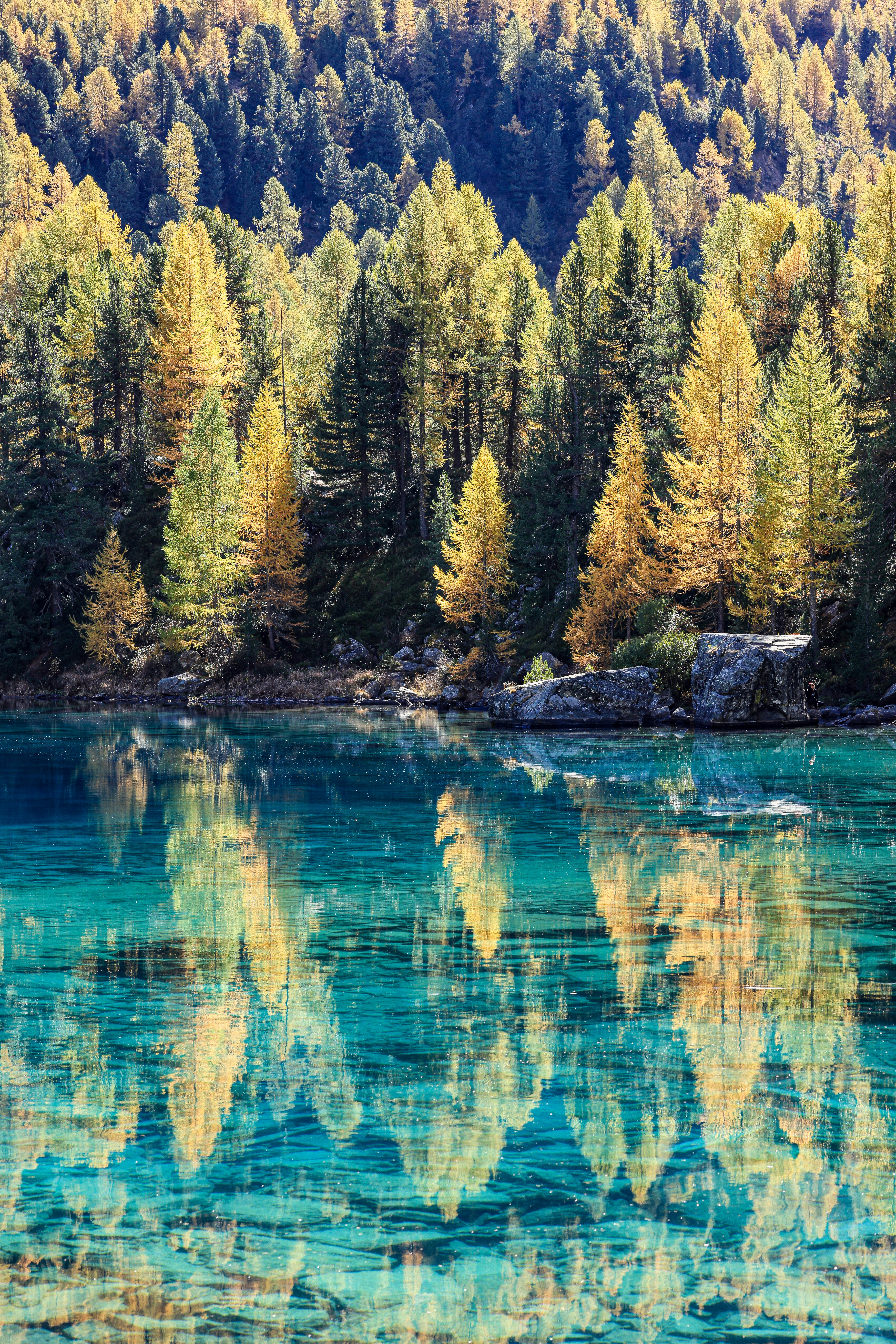 Photo by maximilian_brand