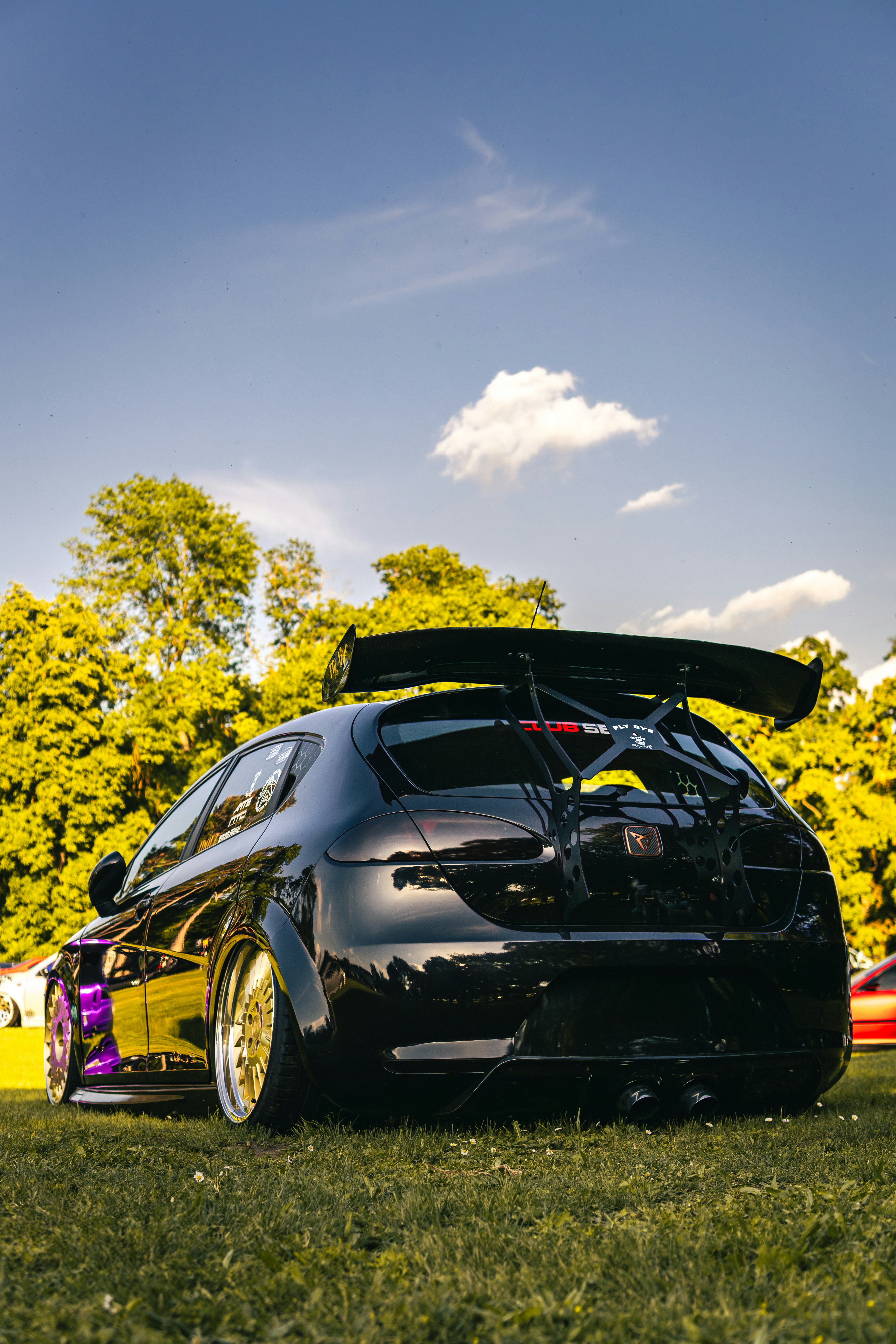 芝生の上にスポイラーを駐車したカスタマイズされた黒い車