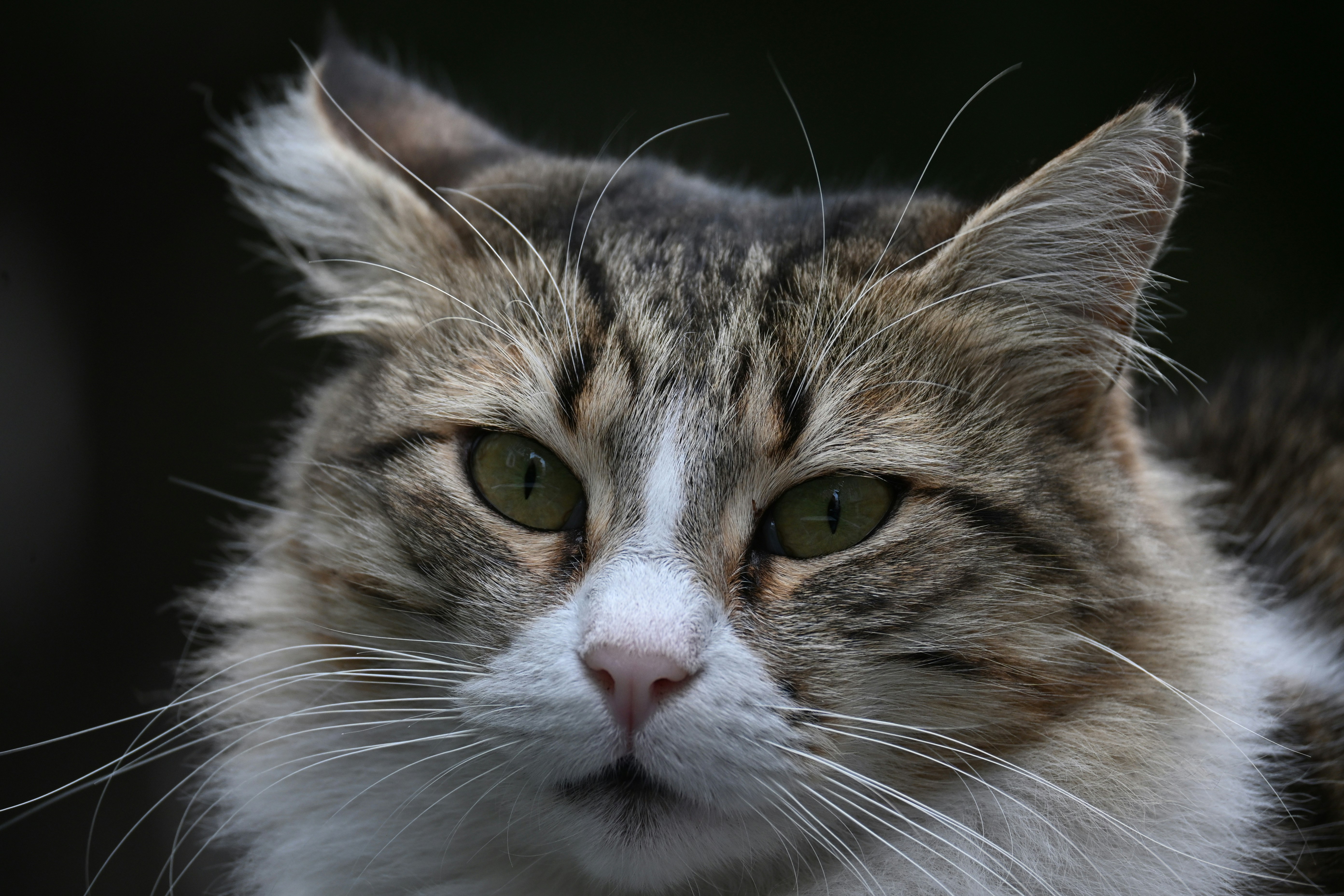 Photo by halilcelikhic