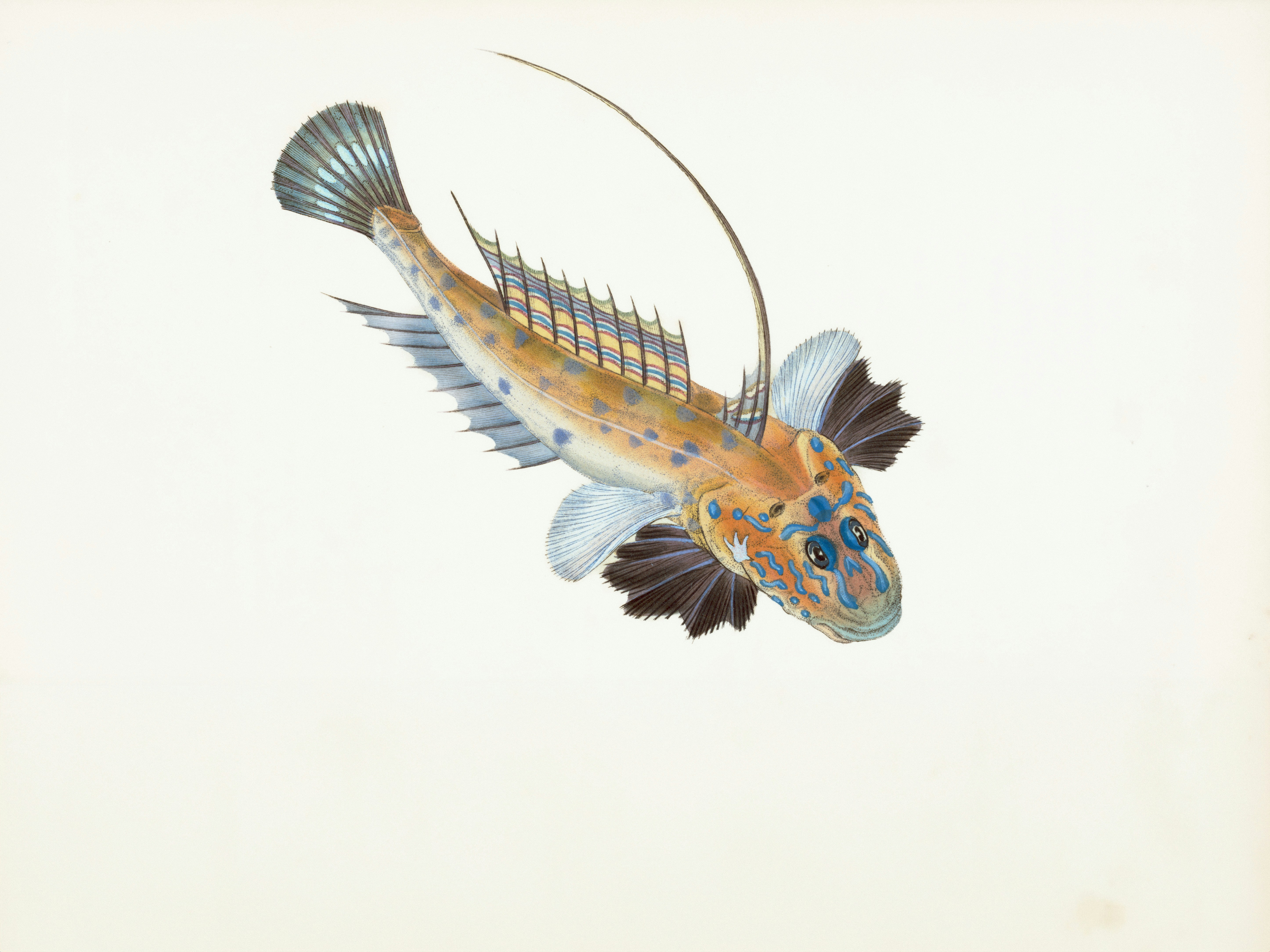 photo-1760559058478-3d29cfcd5792?ixid=M3wxMjA3fDB8MXxzZWFyY2h8MTR8fHJlbGV2YW50JTIwJTdCbWF0ZXJpYWx8ZW58MHx8fHwxNzY1MDI3NDMyfDA\u0026ixlib=rb-4.1.0