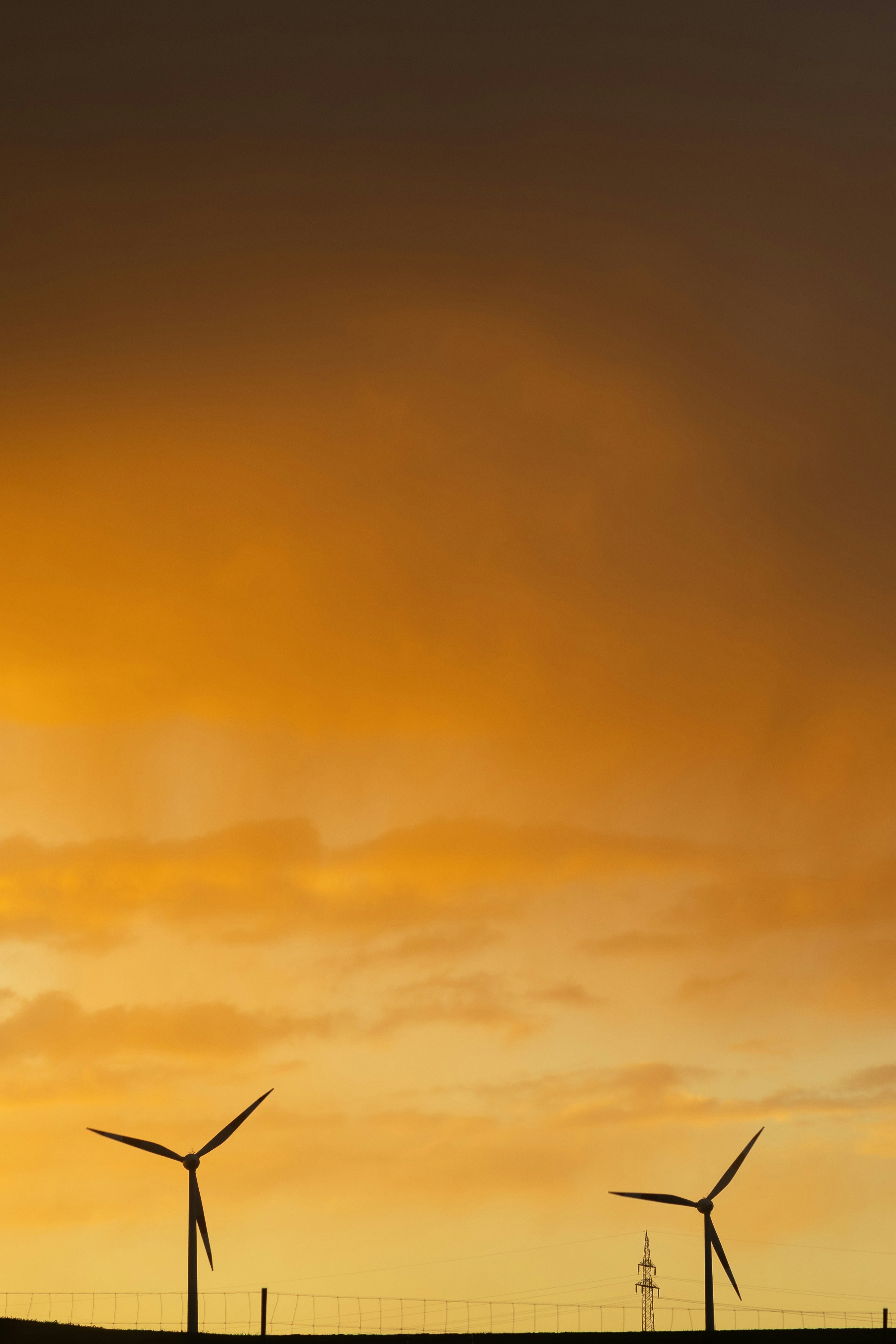 Photo by arlindphotography