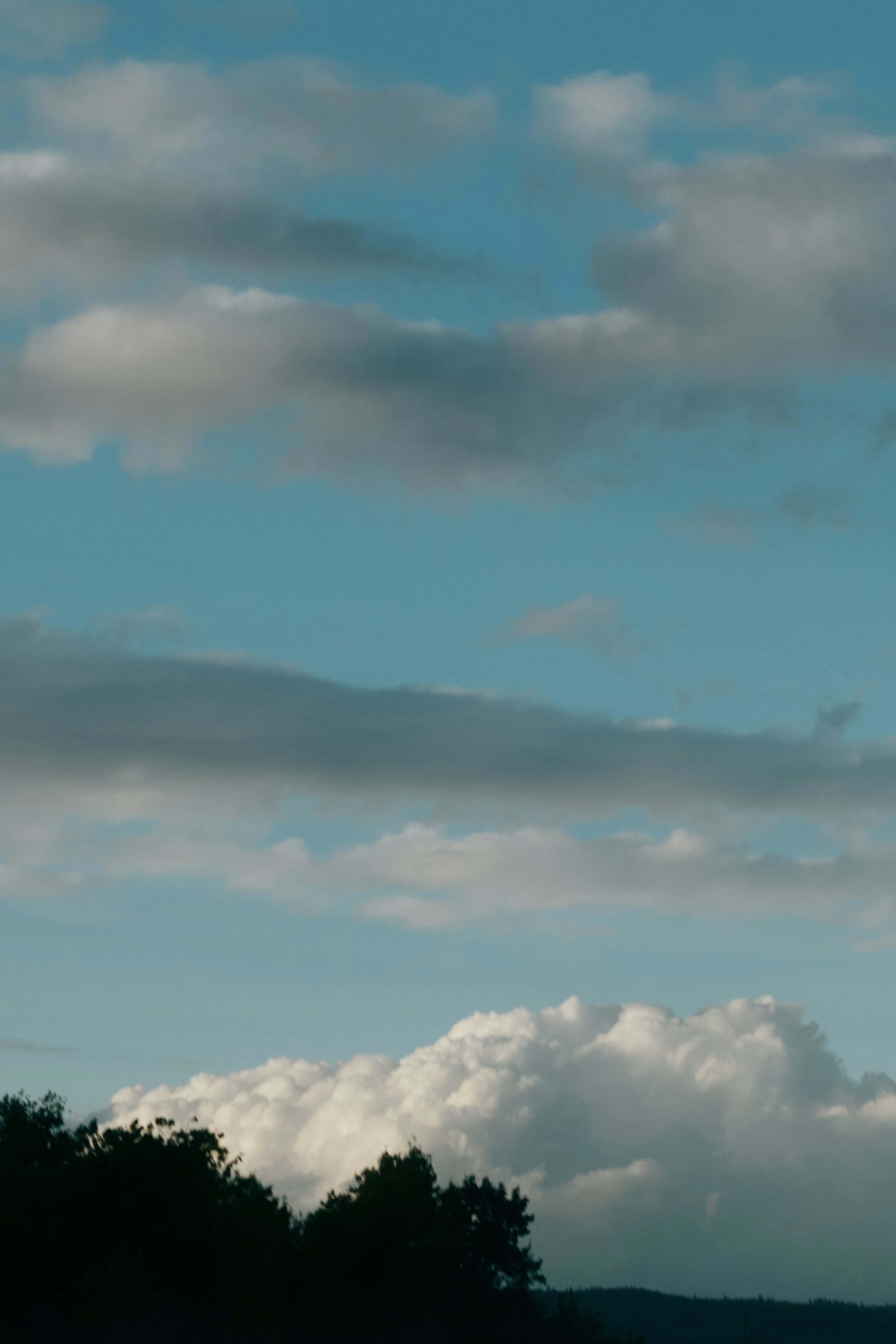 Photo by arlindphotography