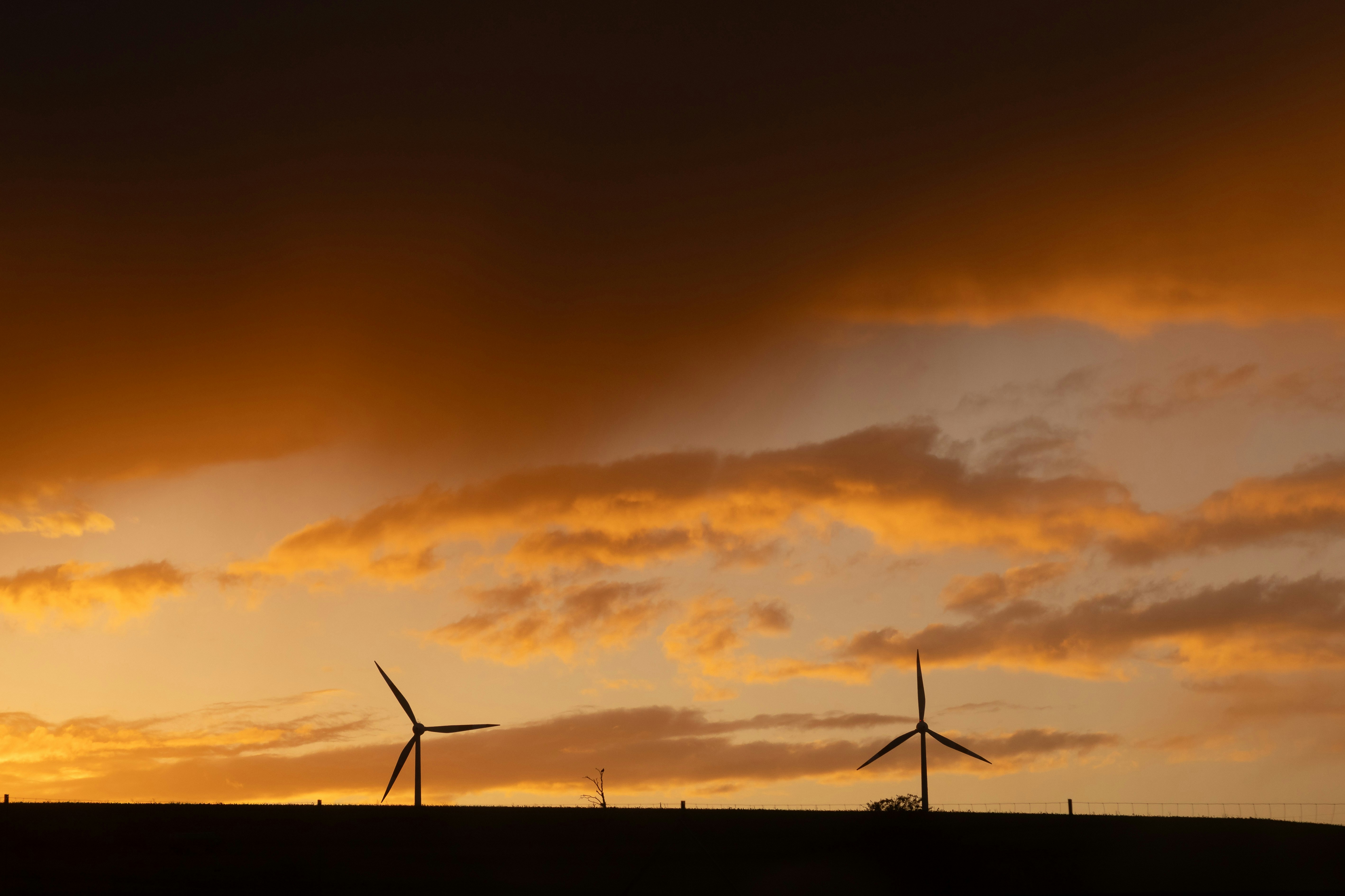 Photo by arlindphotography