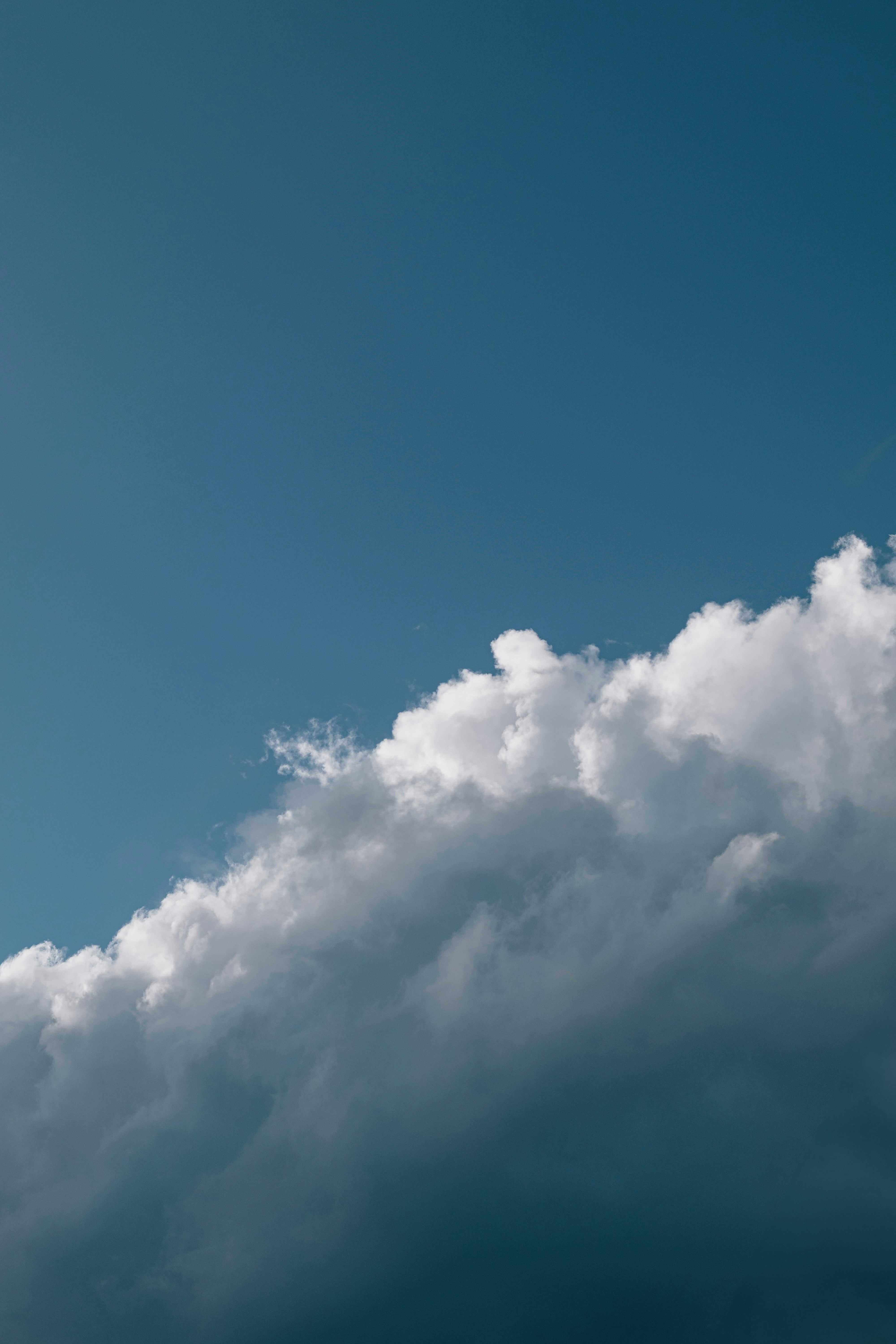 Photo by arlindphotography