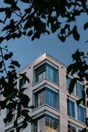 Corner of a modern building framed by leaves